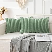 Vista 300 de UGASA - Juego de 2 fundas de almohada de terciopelo a rayas, funda decorativa para cojín con cremallera oculta para el hogar, sofá, dormitorio