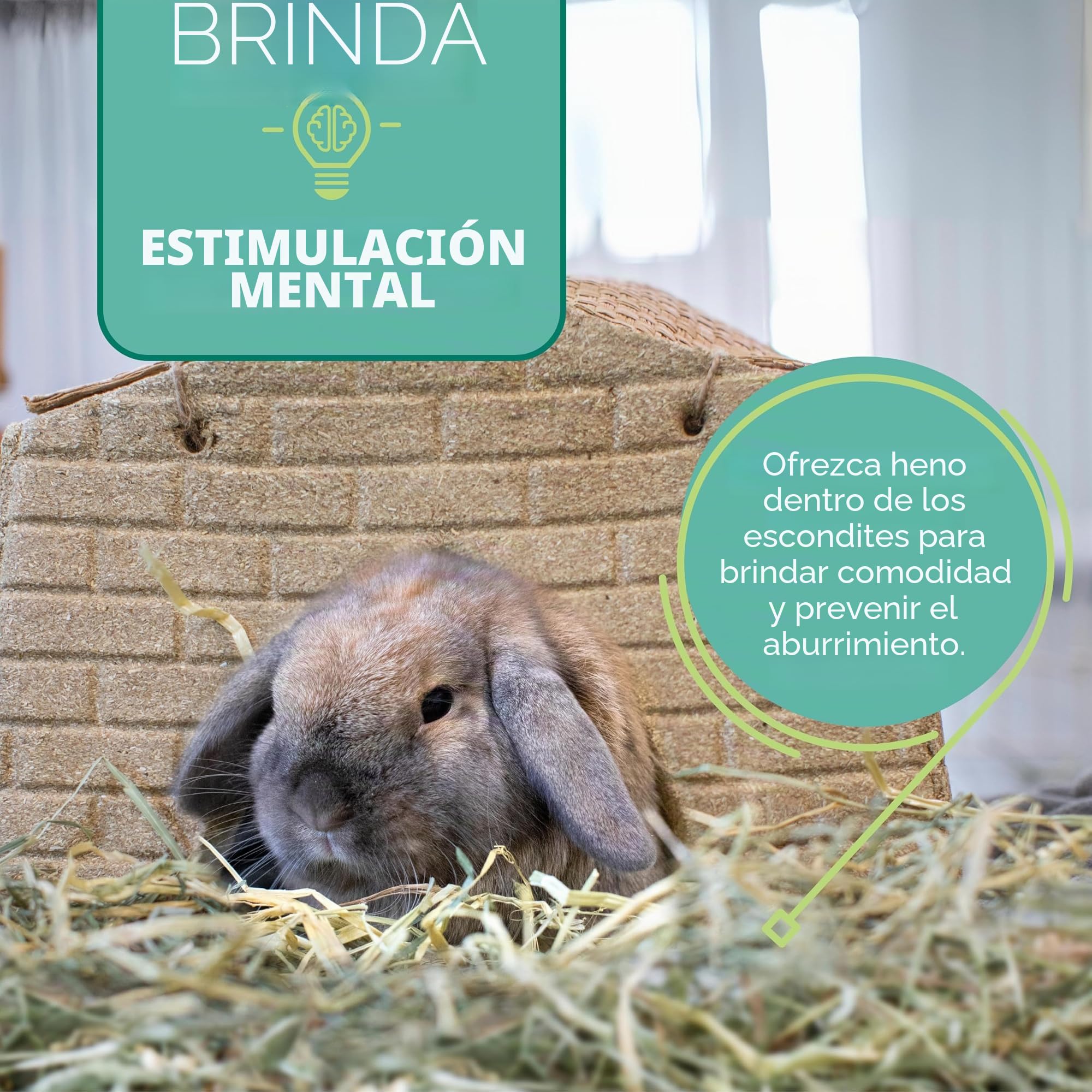 Orchard Grass Heno para Mascotas pequeñas Oxbow, 1,13 kg