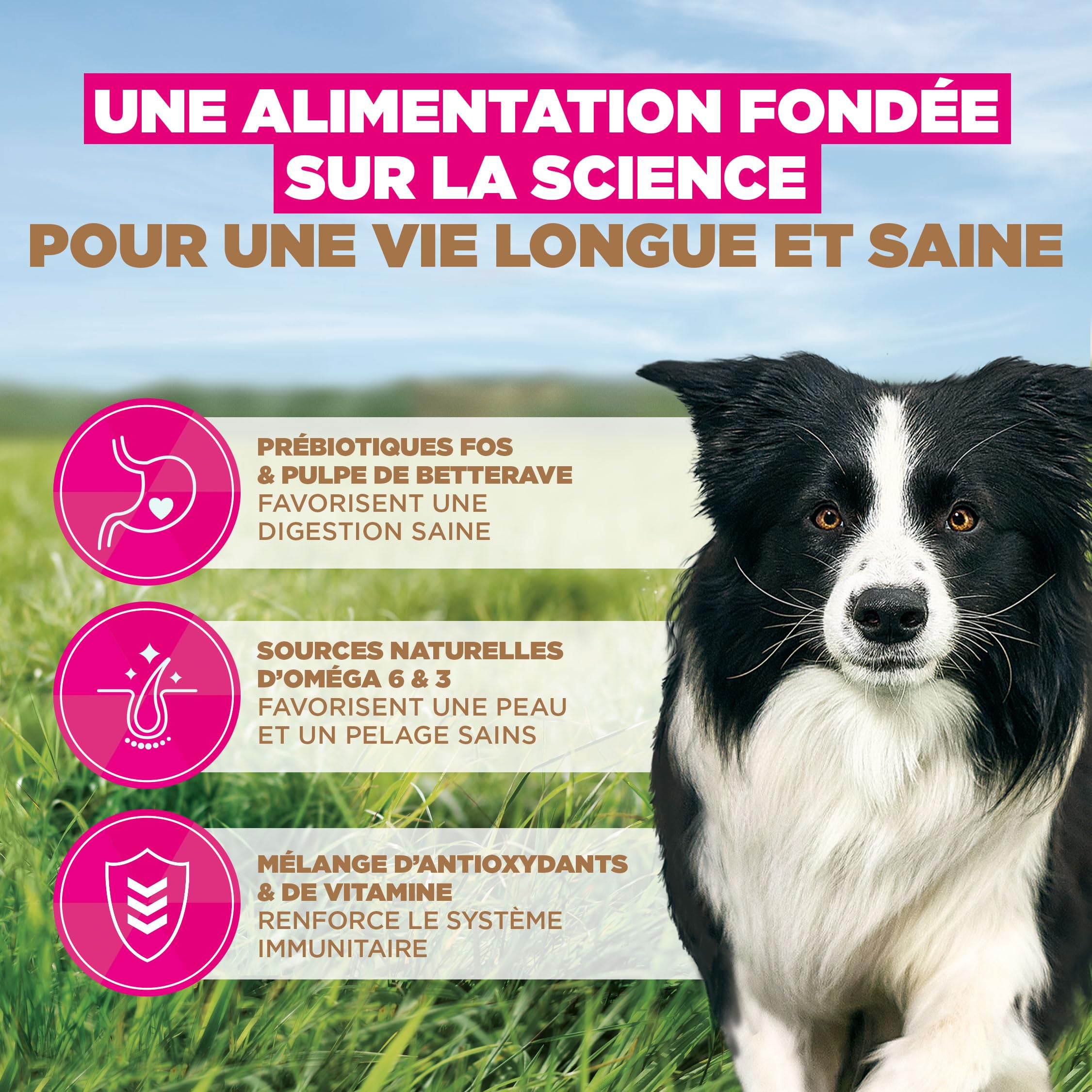EUKANUBA Chien Adulte Grande Race sans Céréales Poulet 12 kg