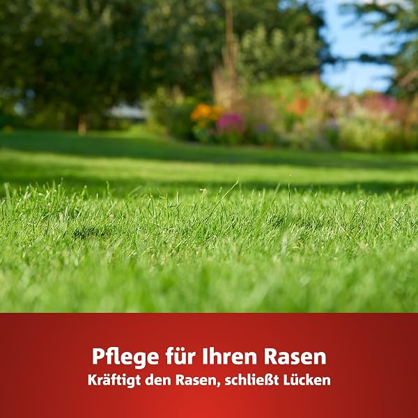 WOLF-Garten 2-in-1: Unkrautvernichter + Rasendünger SQ 450 (Rasendünger und Unkrautvernichter, wirkt über Blätter und Wurzeln, Wirkung bis zu 100 Tagen, ausreichend bis 450 m2) 3840746 - 4