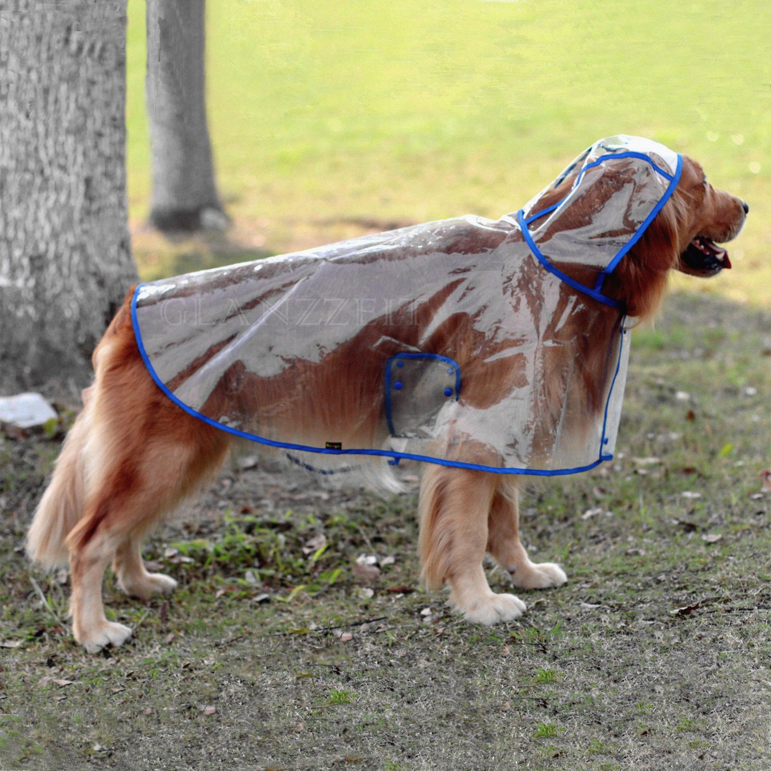 Lepep Hunde Regenjacke Transparent - Wasserdichter Regenmantel Für Hunde