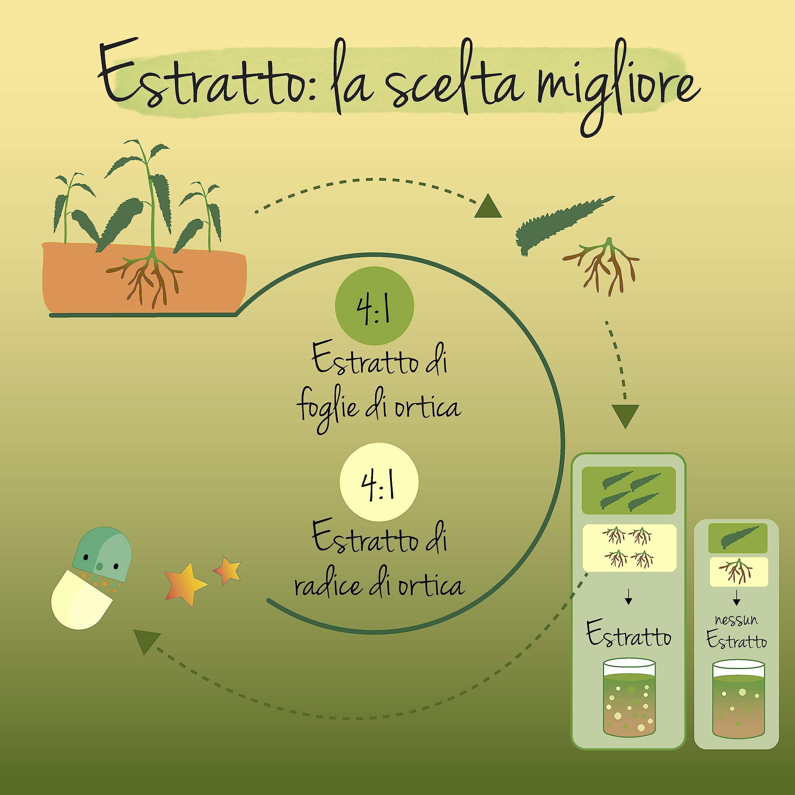 ORTICA BIO Vegavero® | 450 mg di Estratto di Radice e Foglie di Urtica Dioica | Prostata e Benessere Vie Urinarie | 100% BIOLOGICA | Origine: Europa | 120 capsule | Vegan