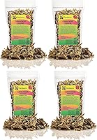 Vista 57 de Gardenera - Mezcla para macetas de alta calidad, mezcla libre de tierra para Aroides, medio de cultivo para plantas