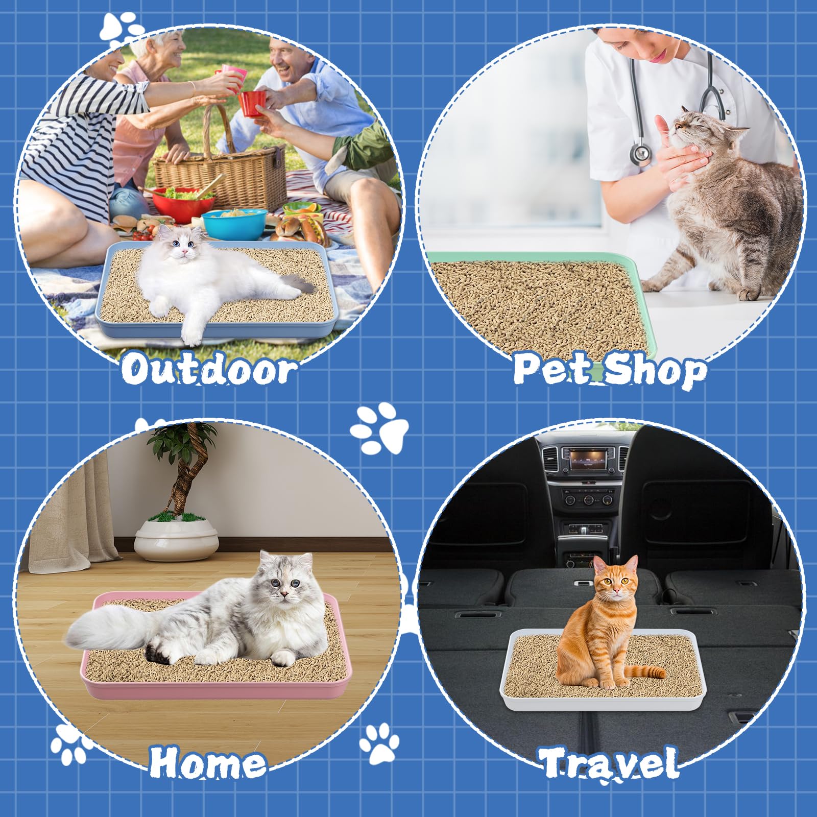 Katzentoilette, mittelgroß, offen, 38,1 x 26,1 x 4,1 cm, Kunststoff, Kätzchentoilette, niedriger Einstieg, Reise-Toilette für Katzen, Welpen, Kaninchen, Meerschweinchen, mehrfarbig, 5 Stück