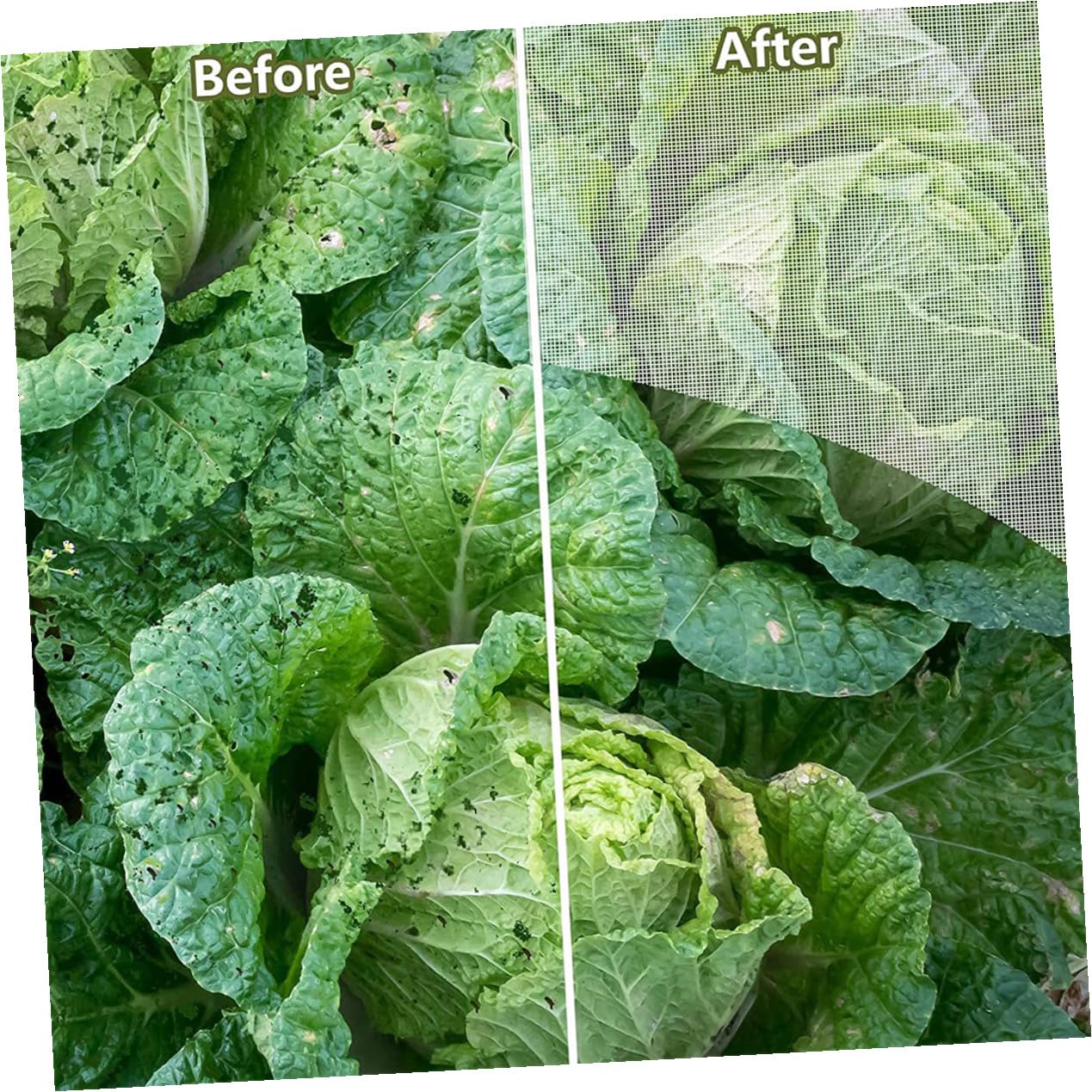 Hemobllo Malla de Protección para Jardín Malla Fina Antipájaros para Plantas para Huerto Resistente UV y Ligera para Frutas y Vegetales