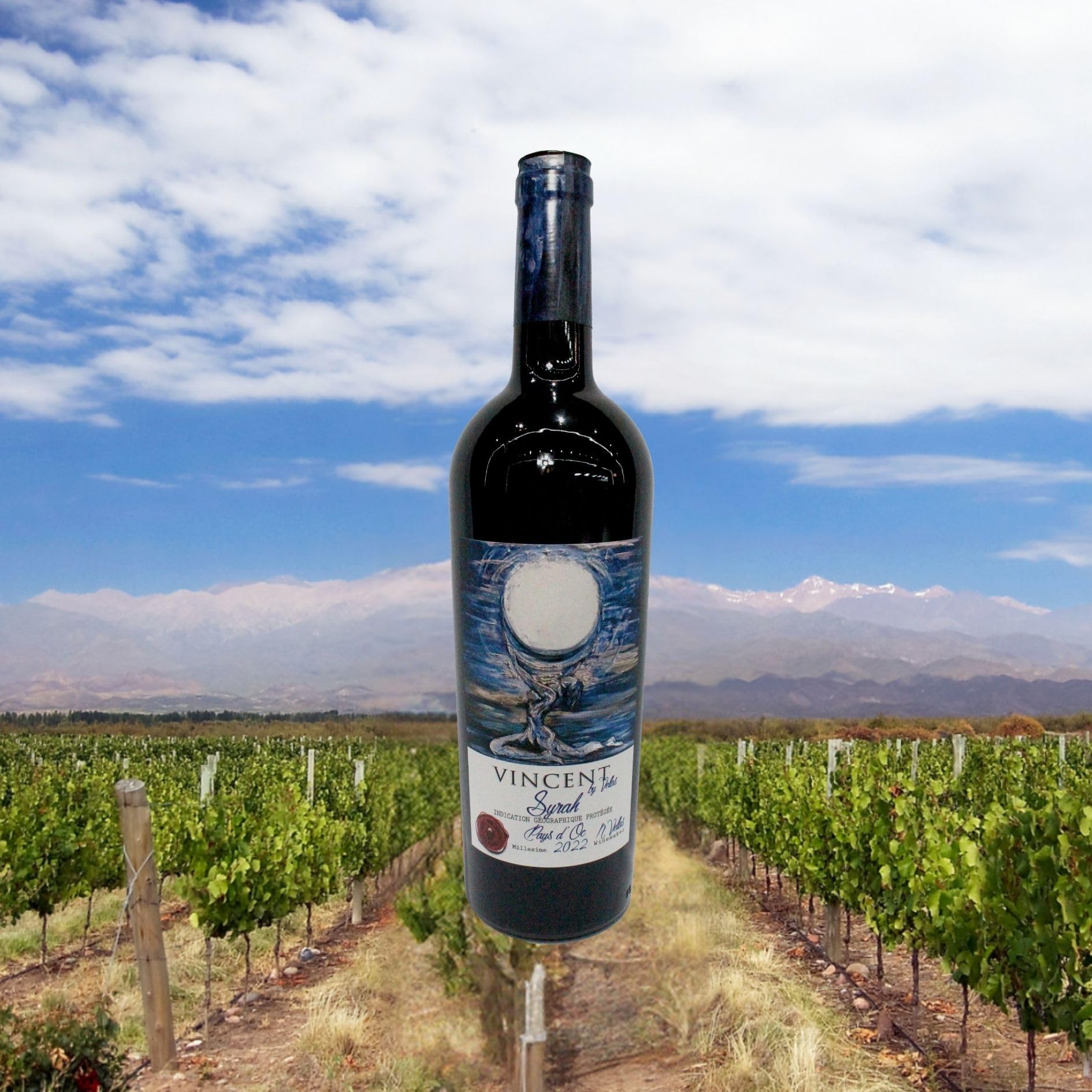 Vinho Tinto Francês Vincent - Syrah 750 ml | Amazon.com.br