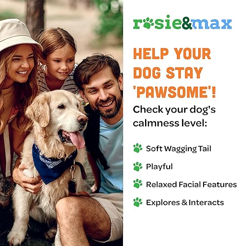 Miniatura 3 de ROSIE & MAX Suplemento calmante y silencioso para mascotas, masticables para perros, relajante y apoyo para la ansiedad para razas pequeñas,