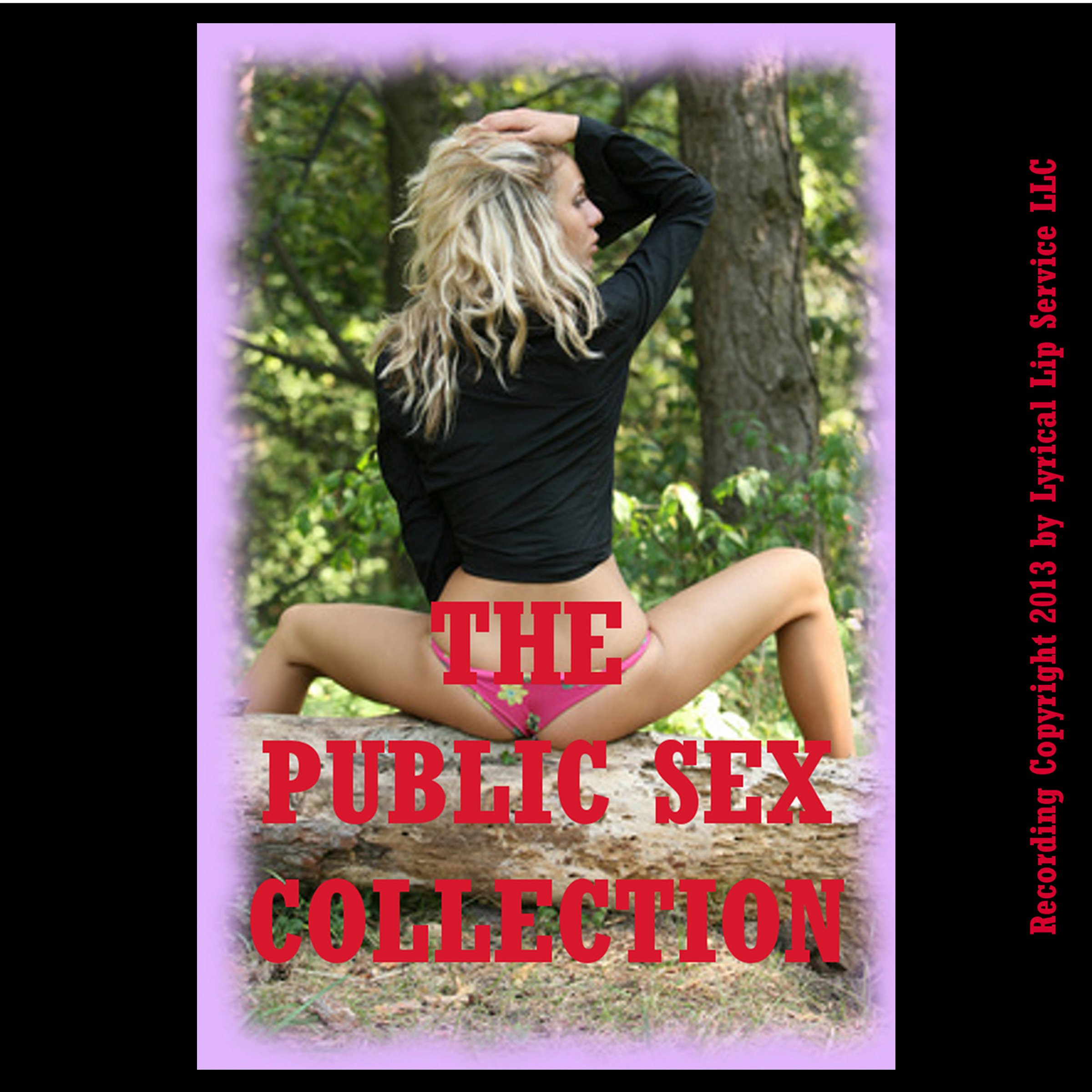 The Public Sex Collection