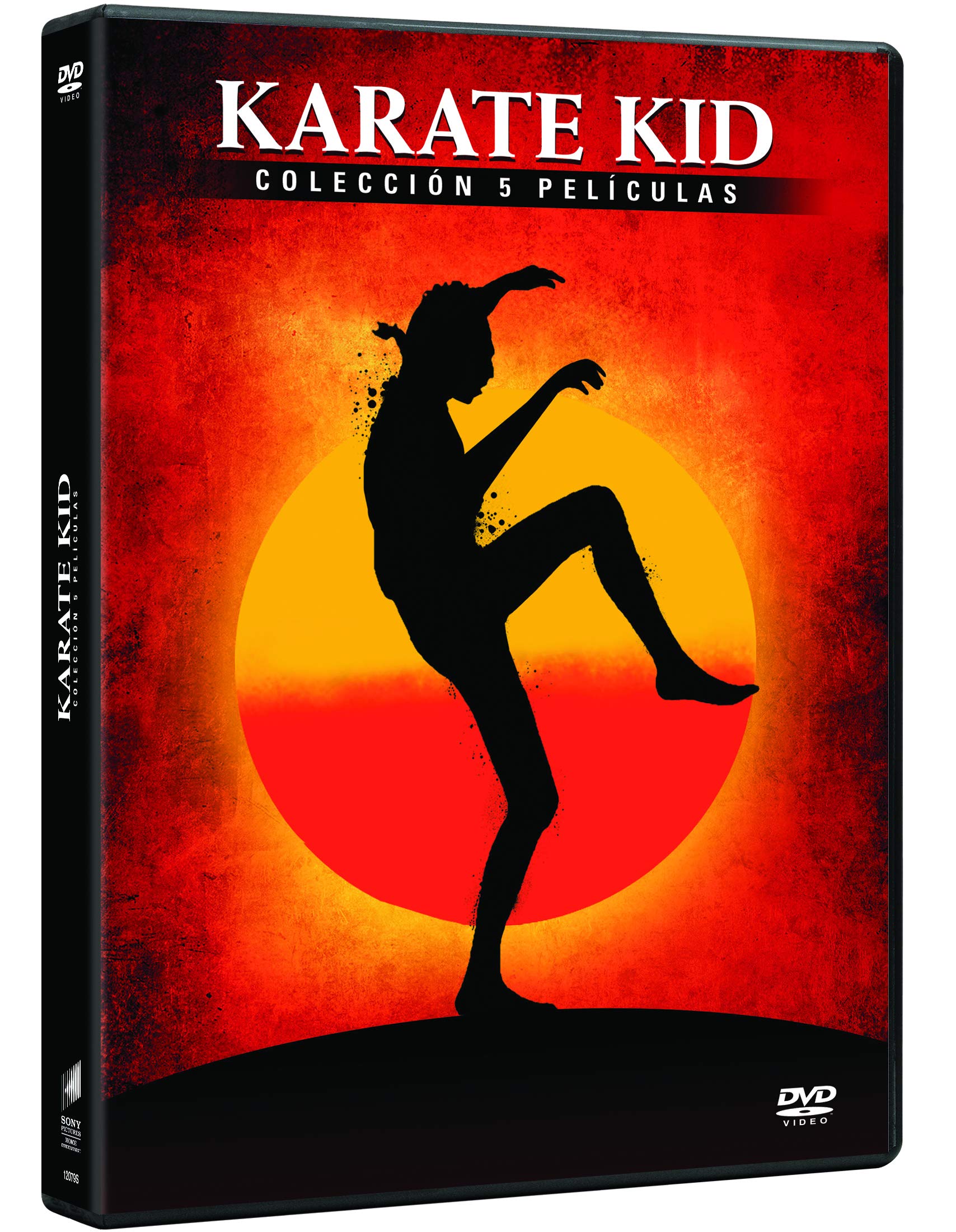 Pack karate kid (5 titulos) (dvd)