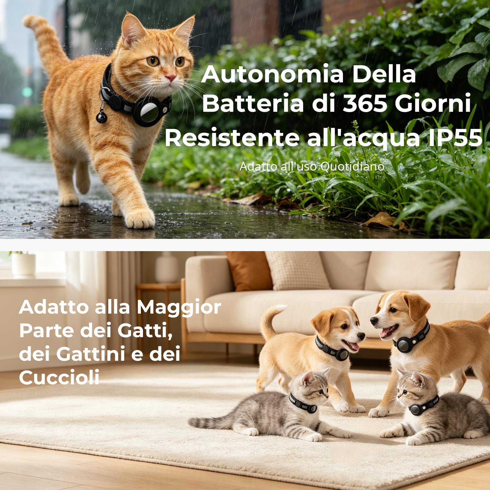 Localizzatore GPS per Gatto, Collare per Cani con Posizionamento Ausiliario, Cronologia delle posizioni, Cat Tracker, Senza Abbonamento Compatibile con IOS & Android