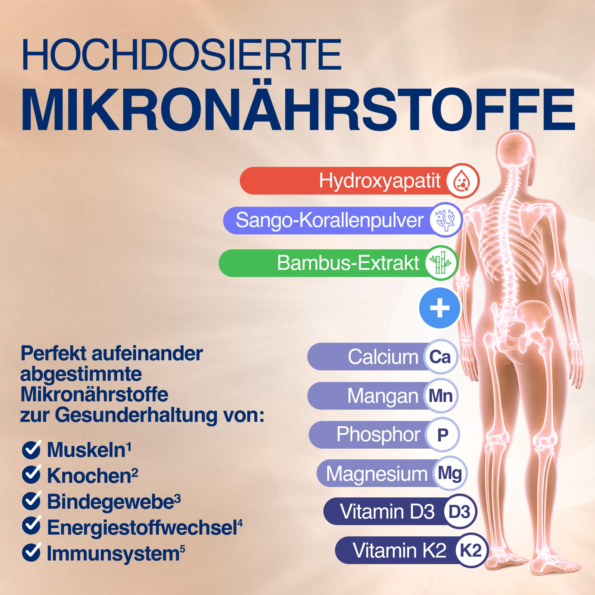 Gelencium Osteo Complex – 800 mg Calcium aus 3 Quellen – 30 Sticks | CalGo Hydroxyapatit, Sango-Koralle & Calciumcitrat · Mit Vitamin D3, K2 & Mangan für normale Knochen