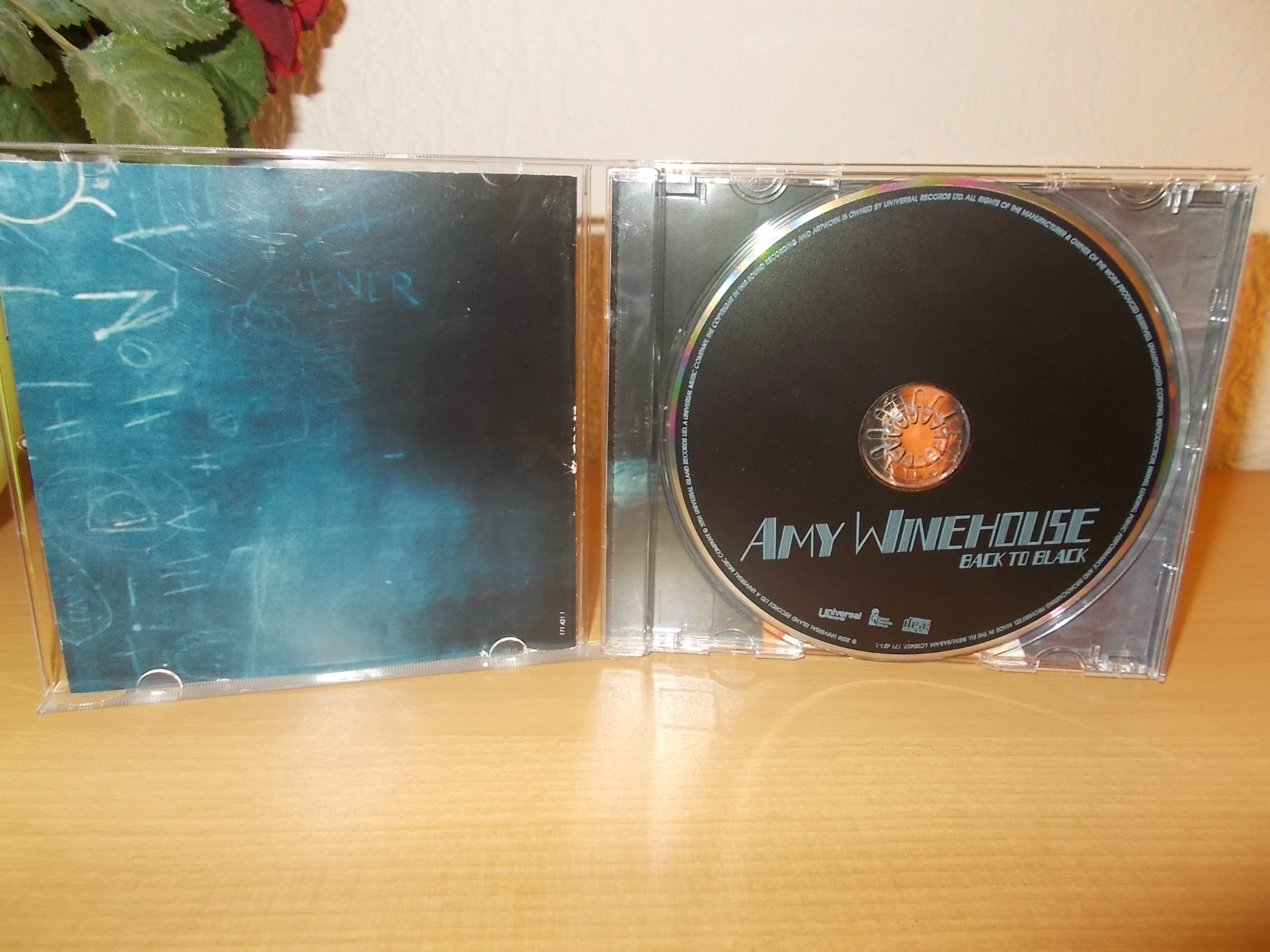 Geprägt von einer depressiven und verzweifelten Grundstimmung .... schaurig schön!