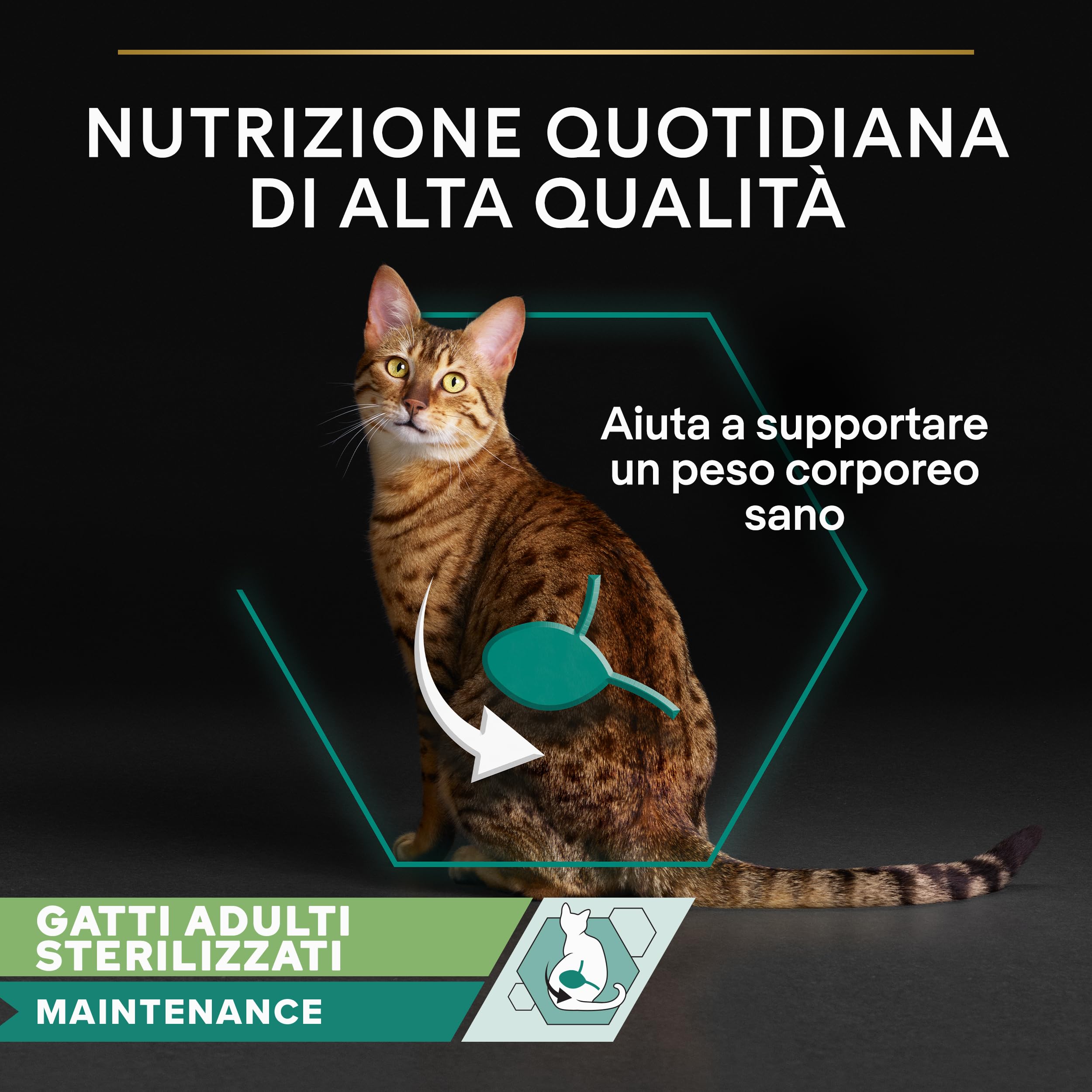 Purina Pro Plan Sterilised Mantainance Cibo Umido per Gatti Sterilizzati Pezzettini in Salsa Pollo, 40 Bustine da 85g