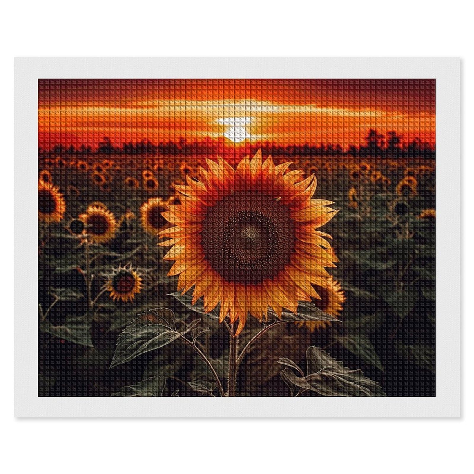 NONHAI Diamond Painting Kits for Adults - DIY Diamond Art Kits for Beginners - Full 5D Paint Drill Diamond Dots Paintings- Sunset Sunflower Diamonds Pictures Gem Art and Craft Wall Decor 16"x20"
