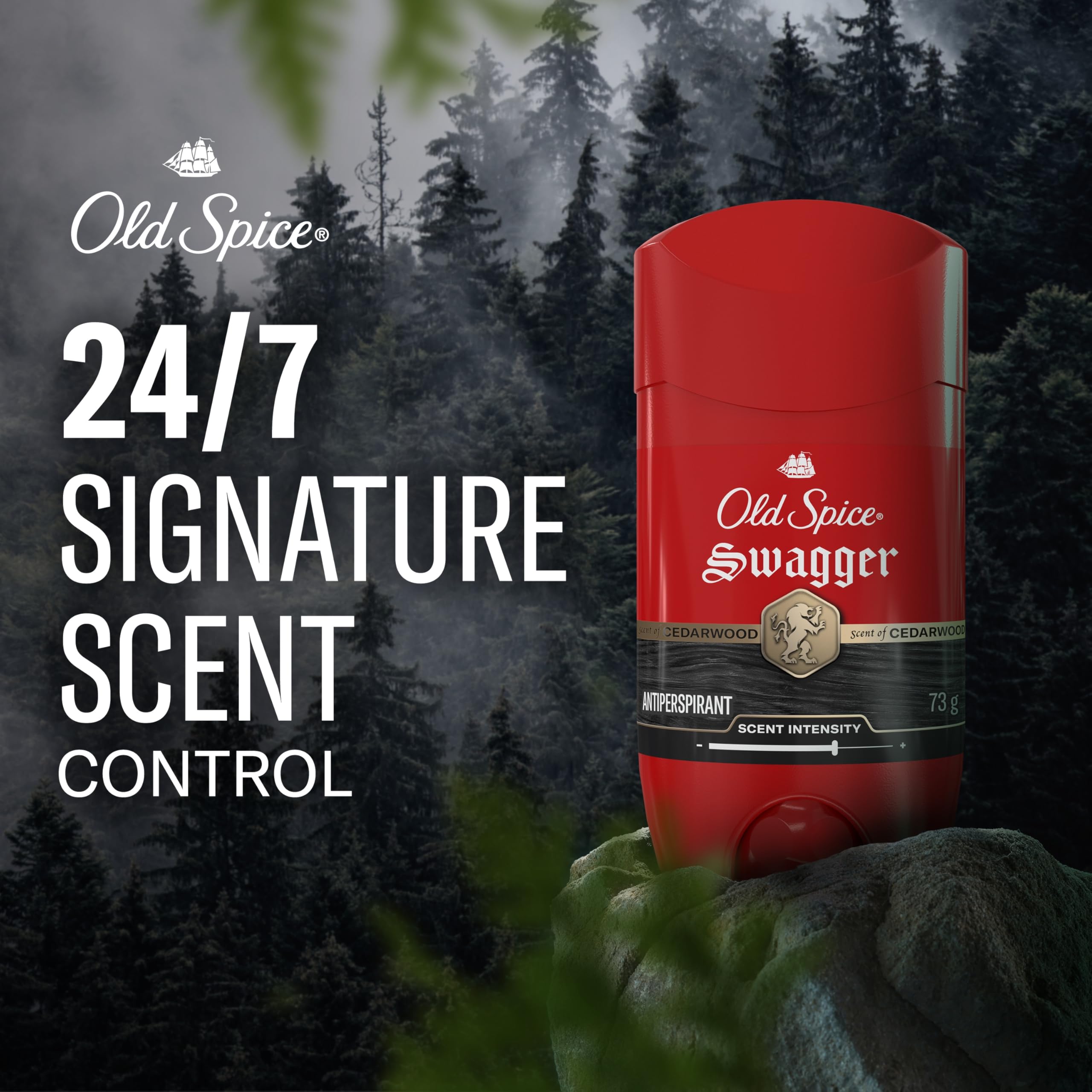Amazon.ca: Old Spice: Swagger
