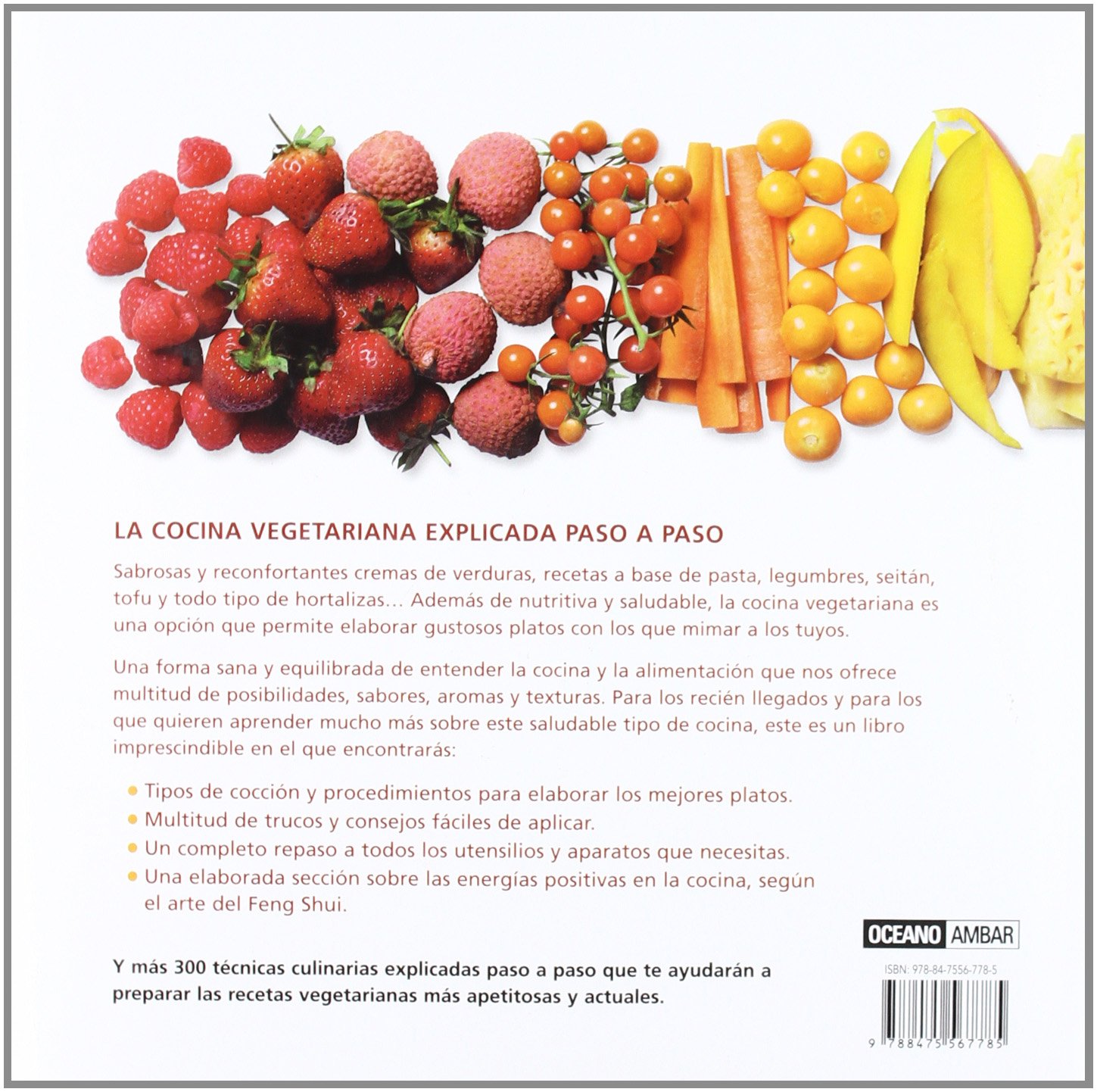 300 TÉCNICAS DE COCINA VEGETARIANA EXPLICADA PASO A PASO: más de 100 recetas, más de 1000 fotografías