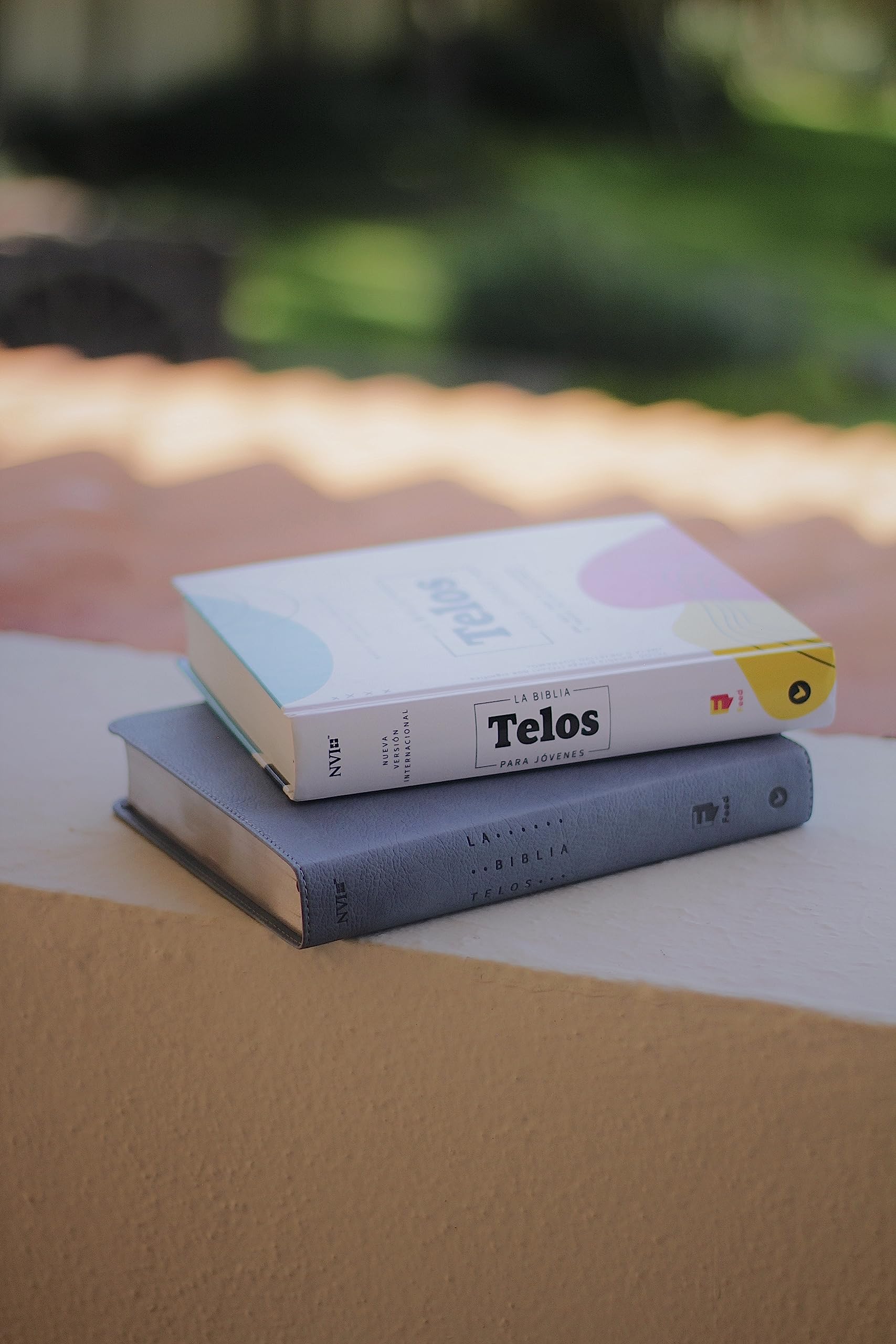 La Biblia Telos para Jóvenes: Nueva Version International, Gris, Leathersoft, Una guía para el estudiante a través de las Escrituras, Comfort Print