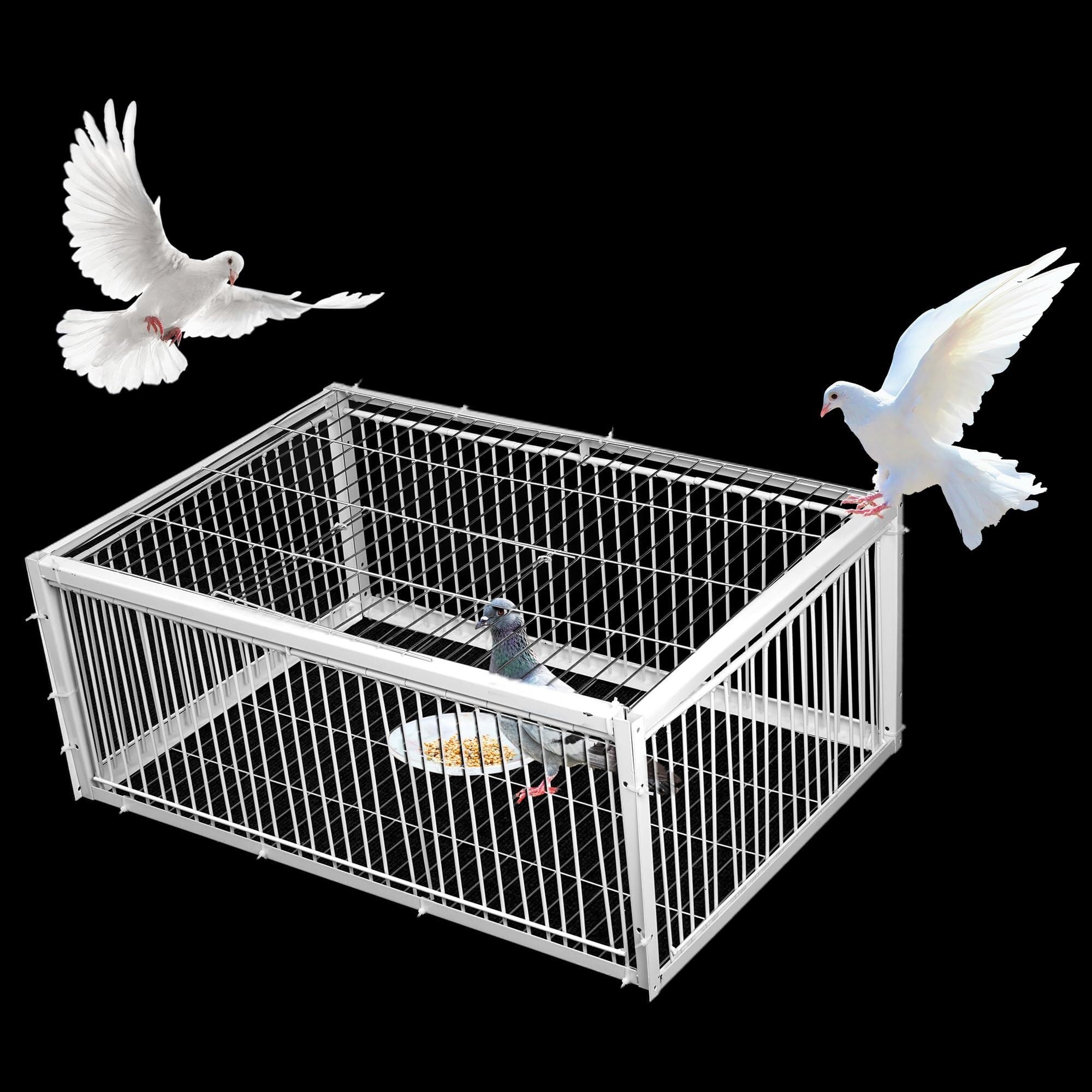 AutoTrap - Jaula para pájaros, solo entrada, sin salida, trampa para palomas con diseño a prueba de escapes, trampas para pájaros pequeños vivos, puerta de trampa para palomas, jaula de trampa para