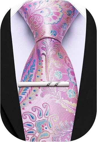Barry.Wang Paisley Tie for Men Silk Woven Necktie and Tie Clip Set Wedding Party Business Formal