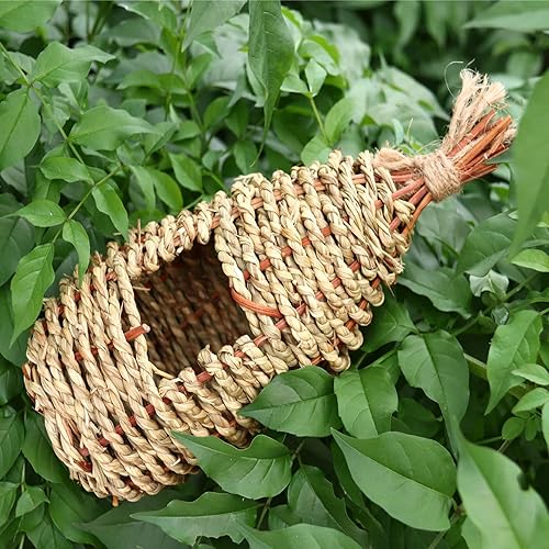 Miniatura 2 de Glwanjg Casas de pájaros tejidas a mano para colgar al aire libre, nido de colibrí natural para el hogar de pollo canario, para decoración de