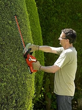 Amazon.com: BLACK+DECKER 18V Hedge Trimmer with 2.0Ah