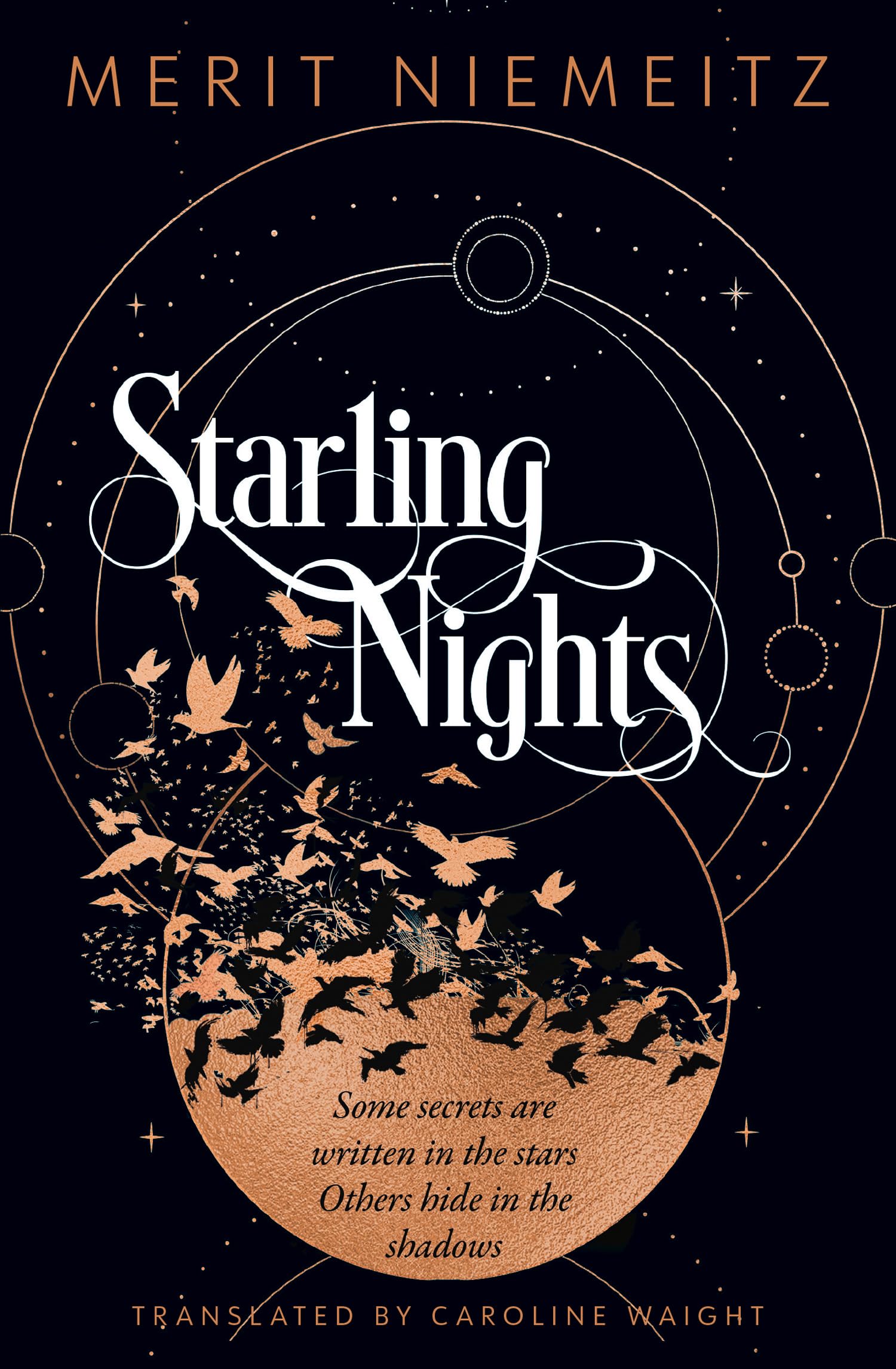 Starling Nights by Merit Niemeitz Paperback