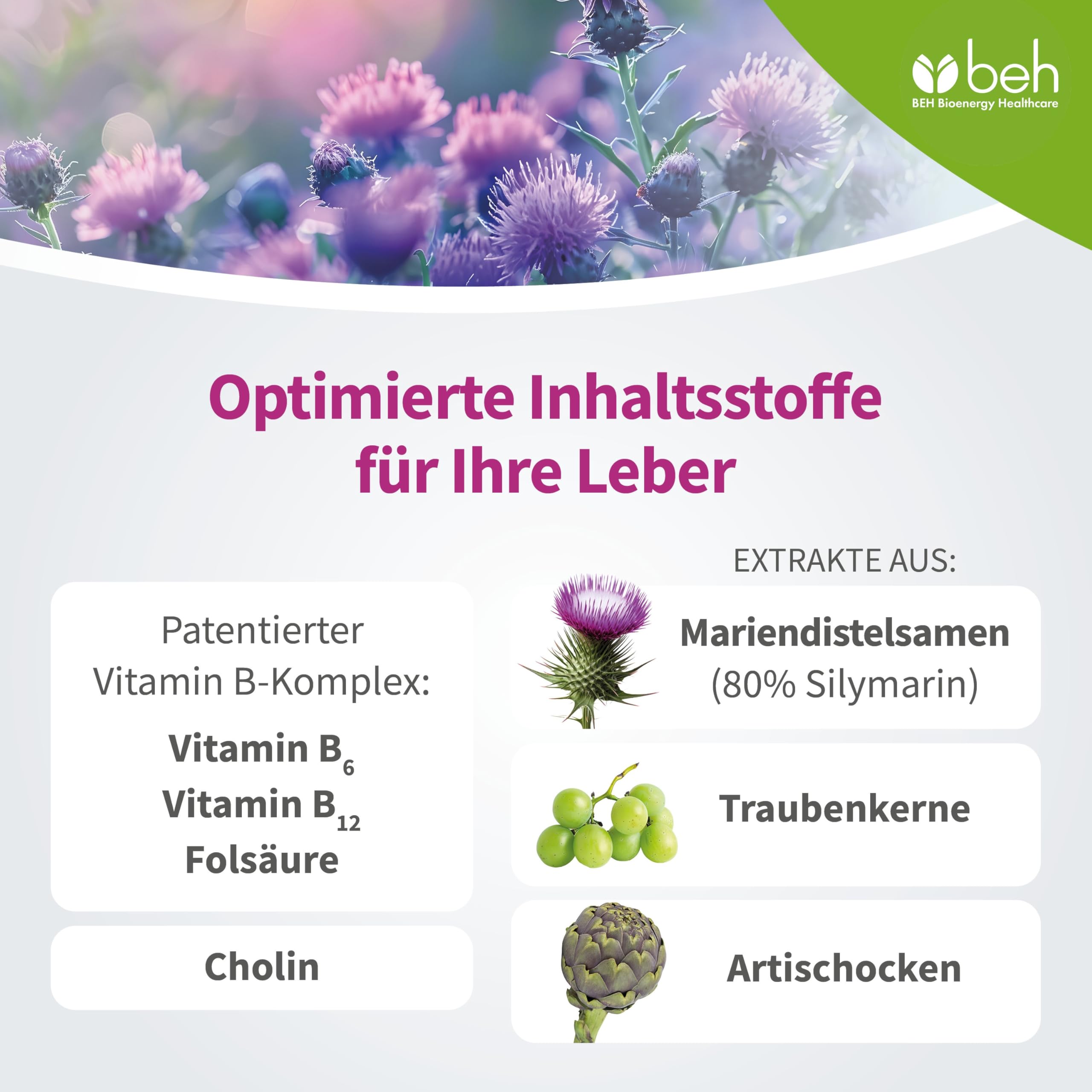 beh Leber extra Mariendistelkapseln, 90 Kapseln | Cholin hochdosiert, Traubenkernextrakt (OPC), Artischockenextrakt