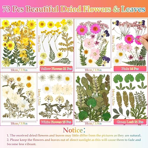 Miniatura 3 de Flores secas para resina, hojas de flores secas prensadas a granel con pinzas para bricolaje, tarjetas de arte de uñas, álbumes de recortes,