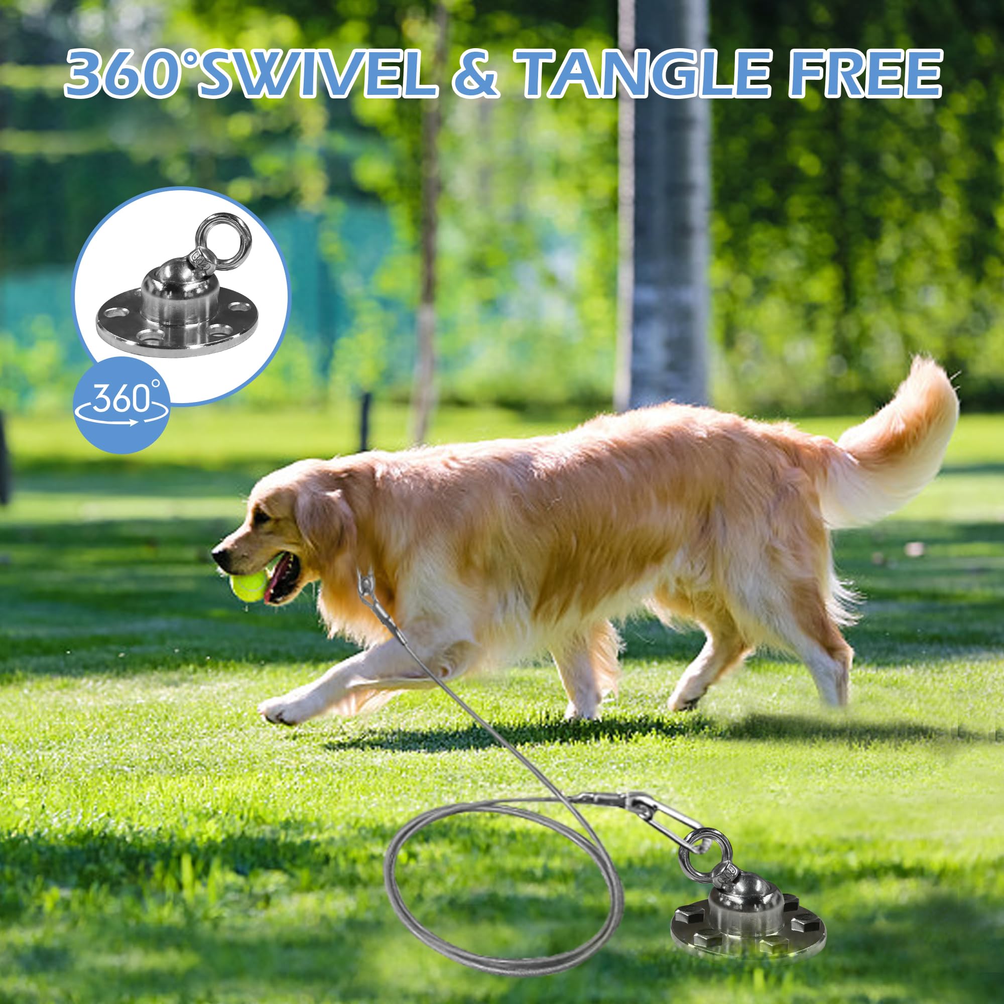 Long Leash For Dogs Dog Tie Out Snagle Paw Stake And Run Cable