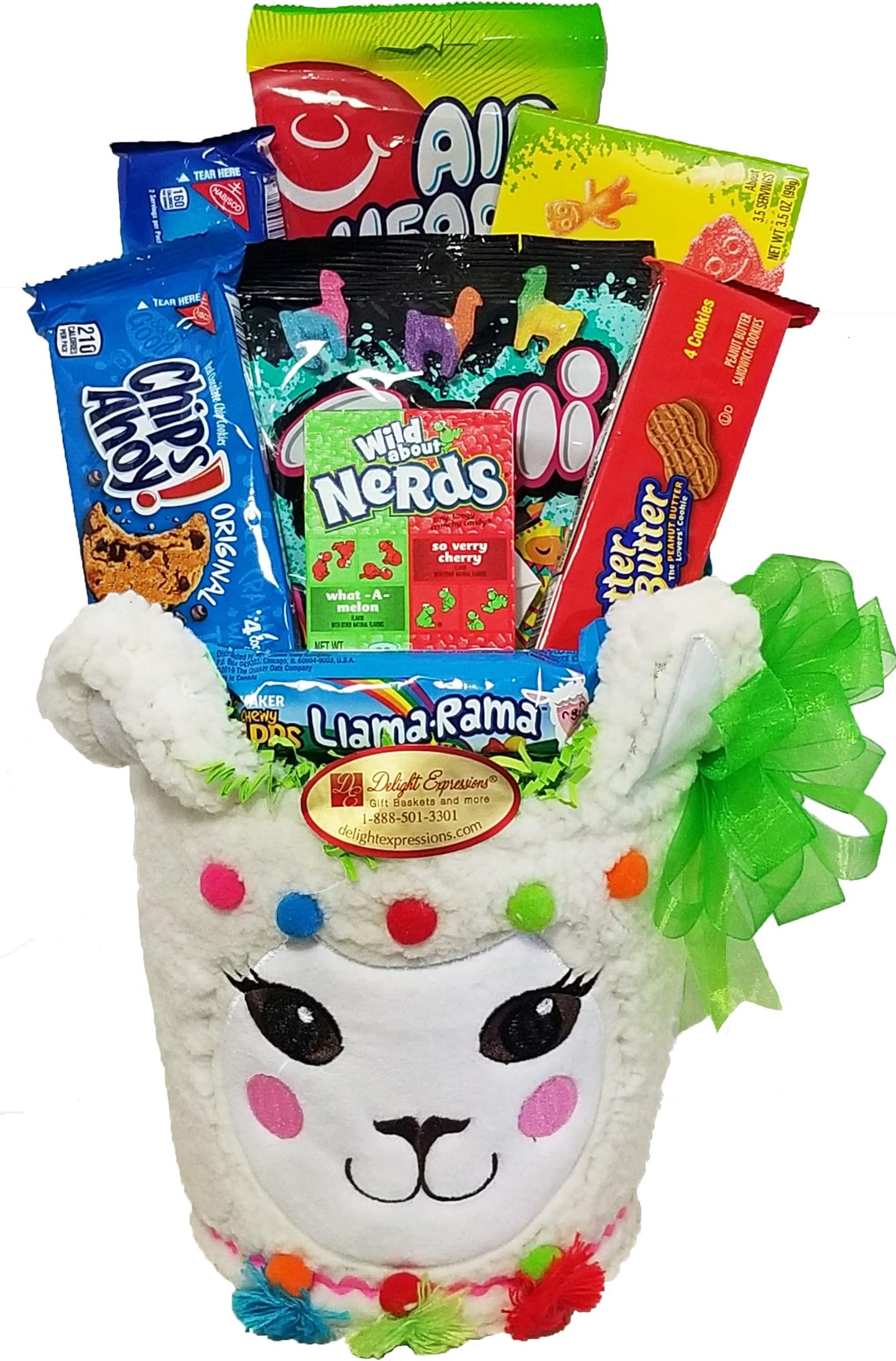 Delight ExpressionsHave a Llama fun' Gift Basket - Easter Gift Basket -Birthday or Get Well Basket for Kids