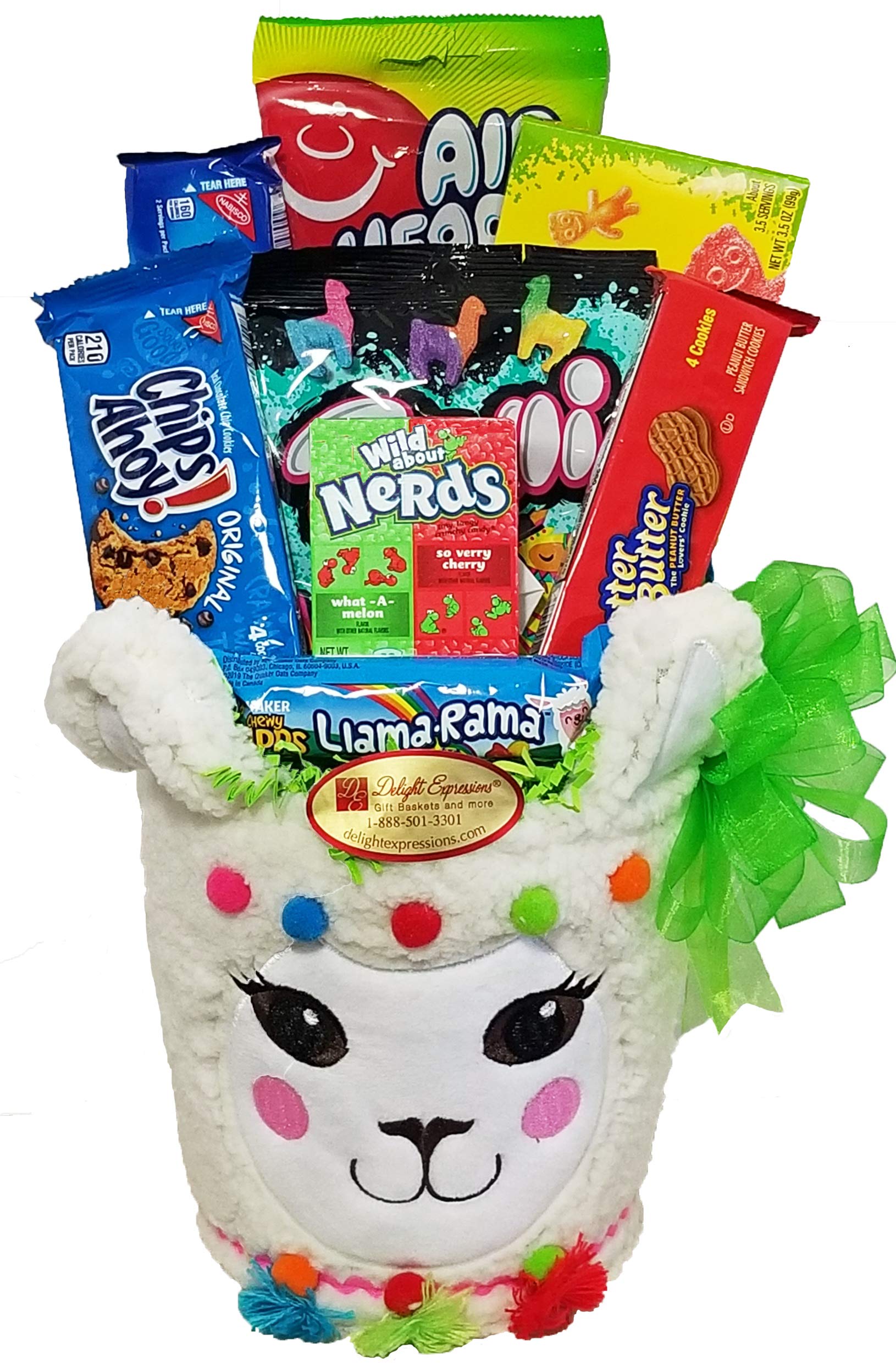 Delight ExpressionsHave a Llama fun' Gift Basket - Easter Gift Basket -Birthday or Get Well Basket for Kids