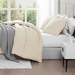 Casa Platino Queen Comforter Set 3 Piece - Ivory - 300 GSM Fill Weight Down Alternative All Season Bedding - Pre-Washed Brushed Microfiber - Oeko-TEX - Corner Tabs - 88"×88"