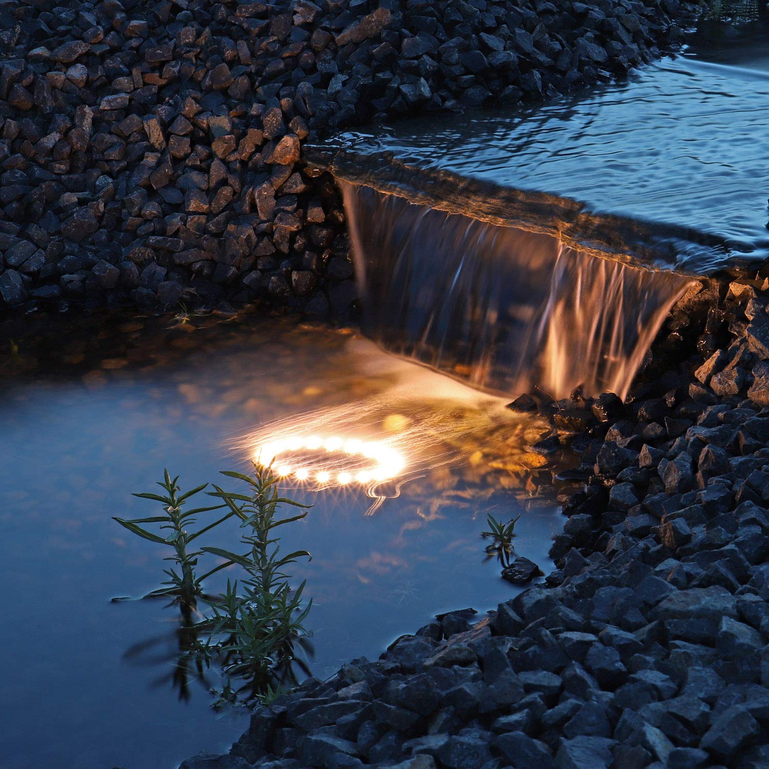 CLGarden Fontänenbeleuchtung LED Ring LEDR20 Beleuchtung für Fontäne Schaumsprudler Wasserspiel Springbrunnen Pumpe