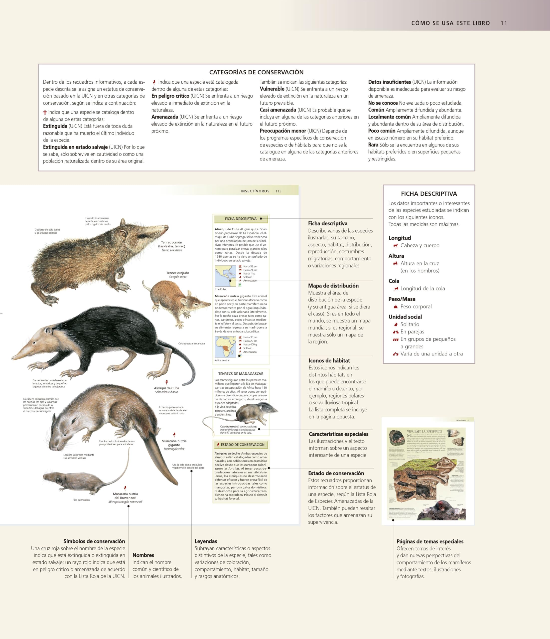 Enciclopedia de los animales (Grandes obras ilustradas, National Geographic)