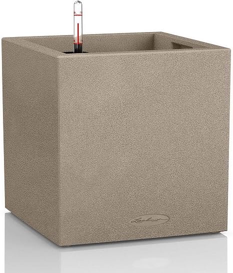 Lechuza Canto Stone 30 - Vaso da Giardino autoirrigante, per Interni ed  Esterni, con Foro di drenaggio e substrato per Piante, in poliresina H30 L30  W30 cm, Colore: Beige Sabbia : Amazon.it: