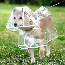 Capa de chuva para animais de estimação, impermeável para cães, capa de chuva transparente para cães de estimação, roupas de chuva para gatos, G