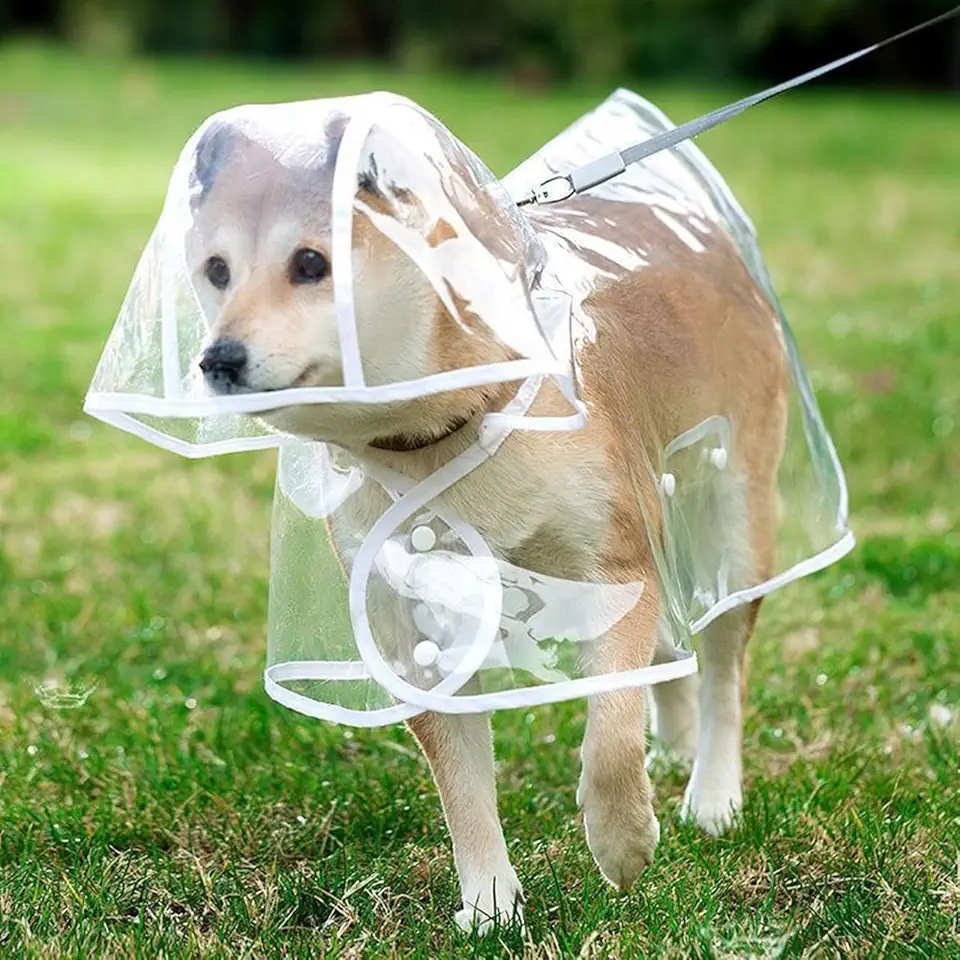 Capa de chuva para animais de estimação, impermeável para cães, capa de chuva transparente para cães de estimação, roupas de chuva para gatos, G