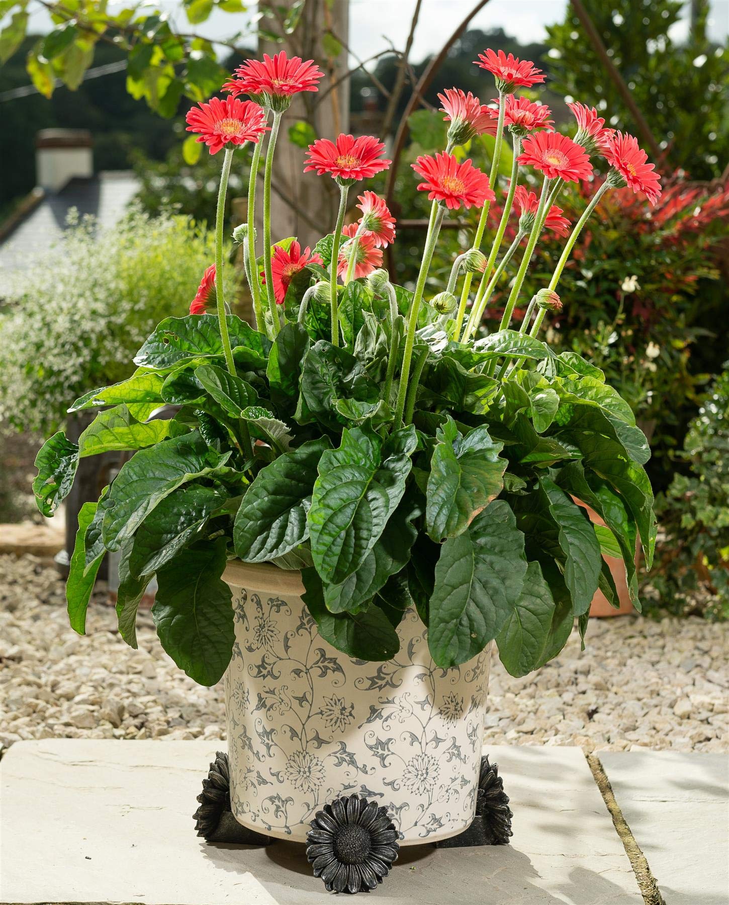 Potty Feet Daisy Figures Plant Pot Feet - Planter Support - Handmade Decorative Ornaments - 3pcs — image 1