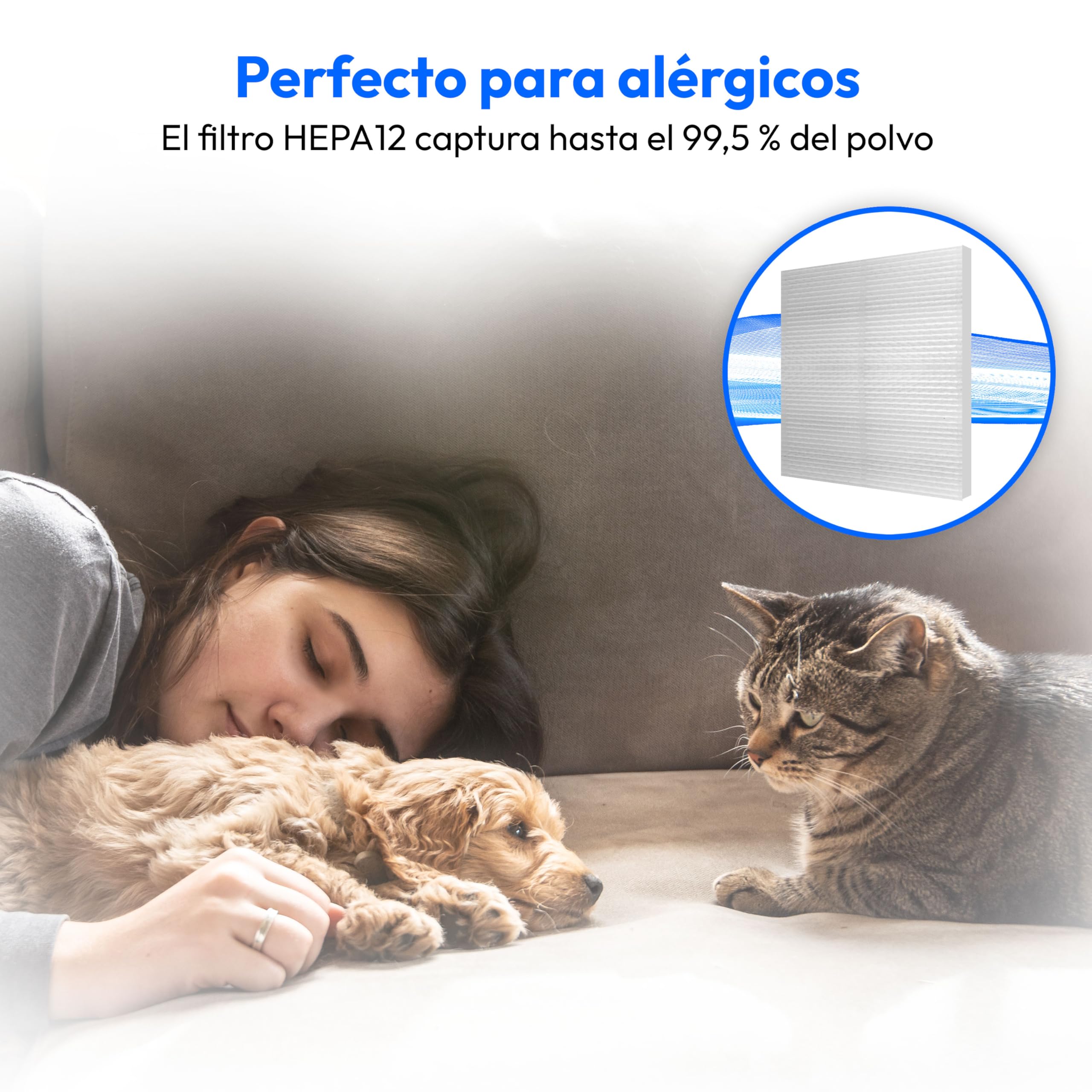 MEDION Aspiradora ciclónica sin Bolsa P4000 (900 vatios de Potencia, 4,3 litros de Capacidad del depósito de Polvo, Filtro HEPA 13 Lavable, Radio de Trabajo de 11 m, MD 11906) Azul