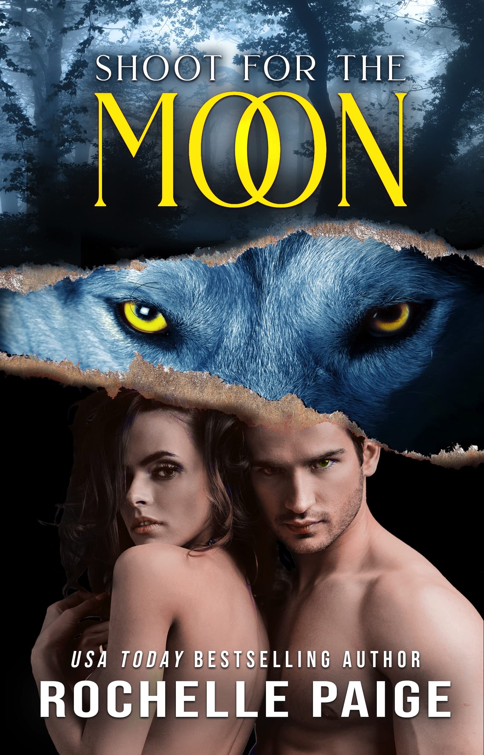 Cover of Shoot for the Moon