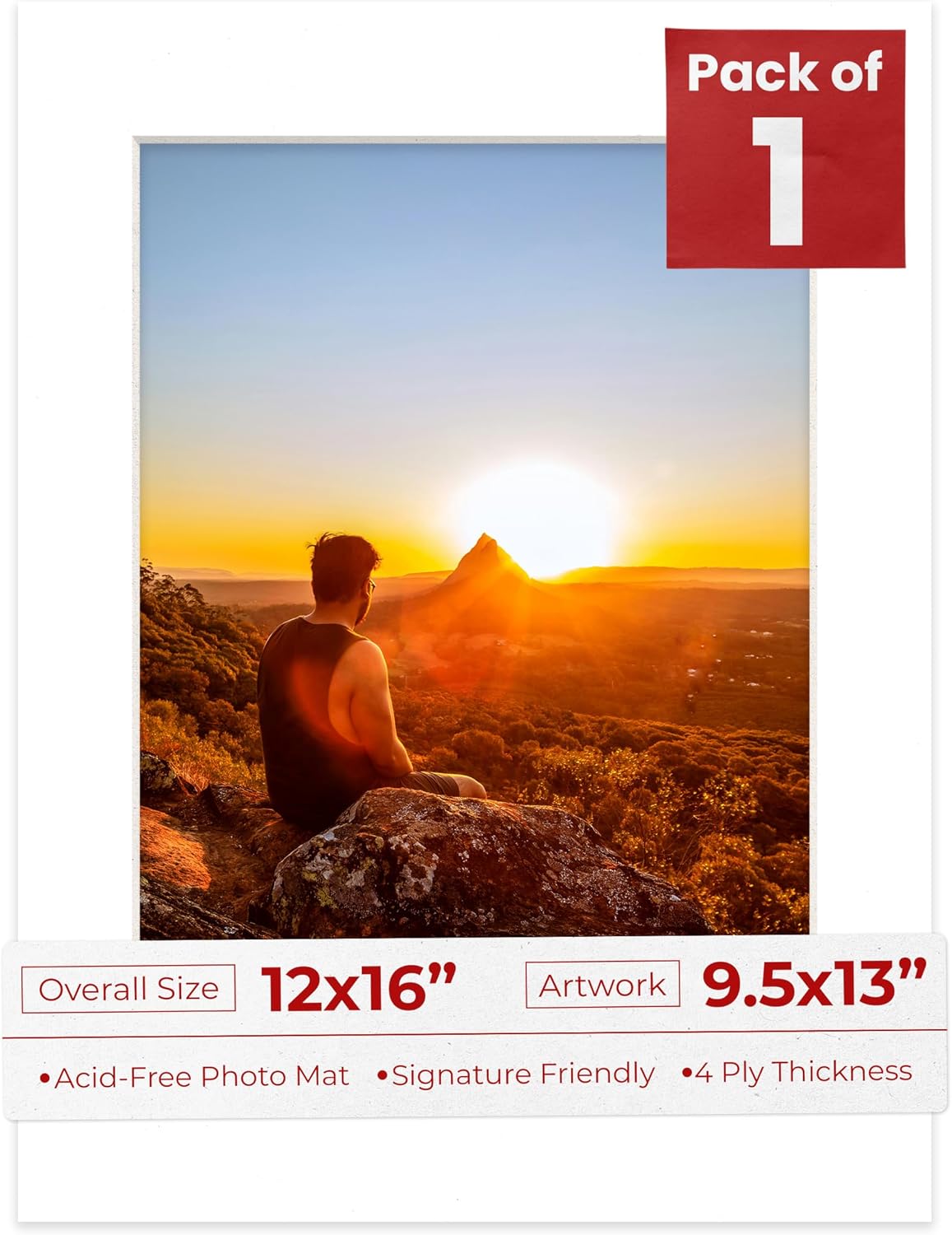 Poster Palooza 12x16 Mat Bevel Cut for 9.5x13 Photos - Acid Free White Precut Matboard - For Pictures, Photos, Framing - 4-ply Thickness