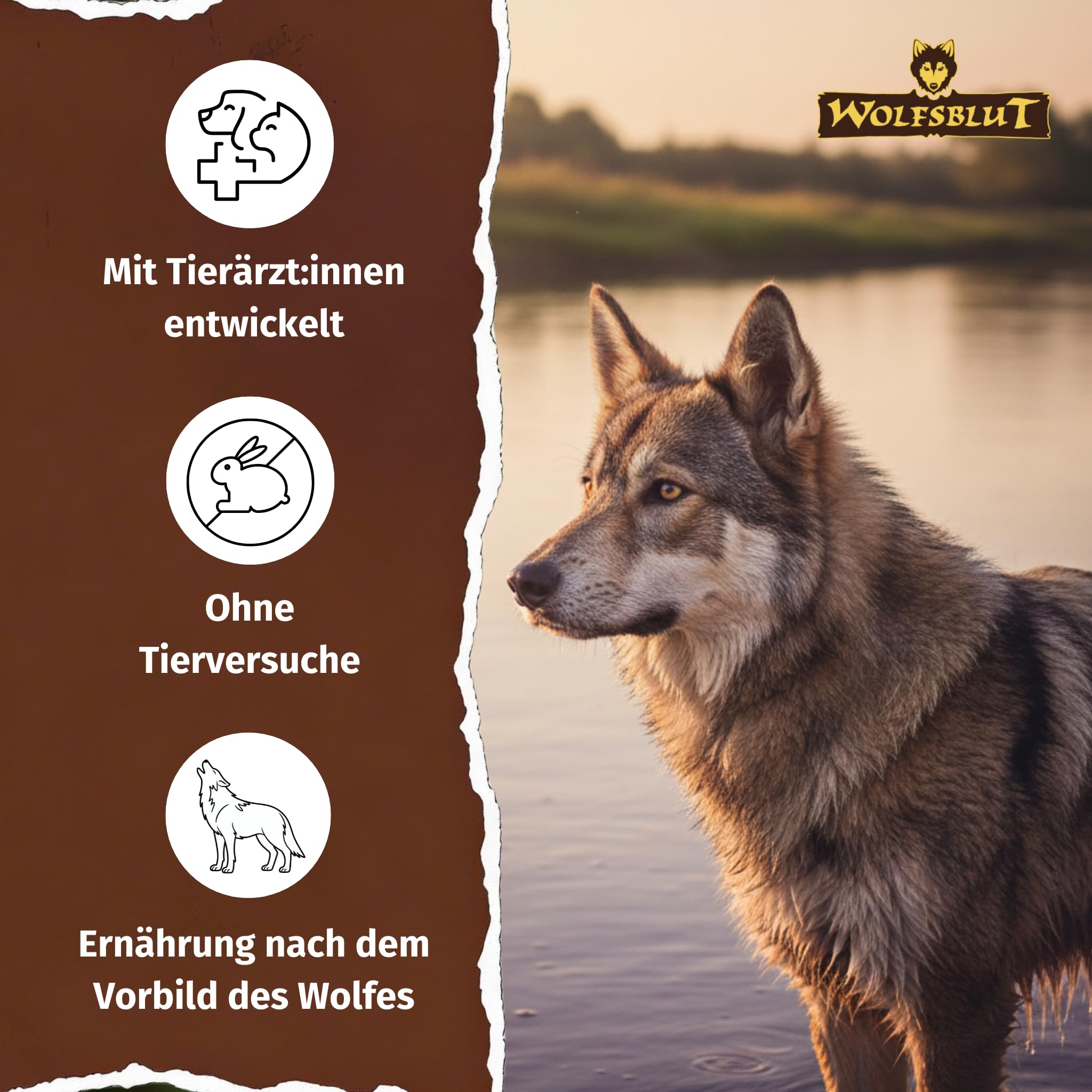 WOLFSBLUT Wide Plain Adult Trockenfutter Pferd 12,5kg getreidefreies Alleinfutter für ausgewachsene Hunde