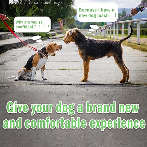 Miniatura 9 de NAZOU Correa de perro de 12 pulgada para perros medianos y grandes de 4 pies, 6 pies, 10 pies, 15 pies, correa resistente para perro, correa