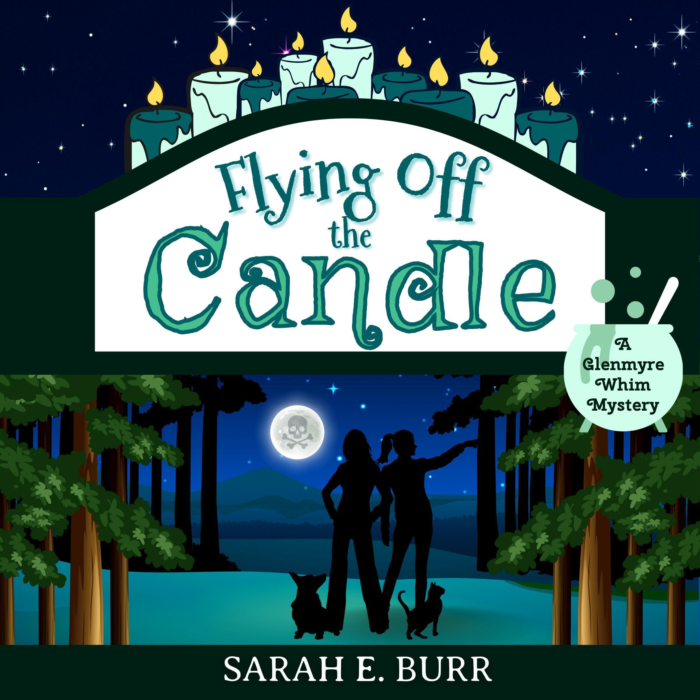 Cover art for Flying Off the Candle