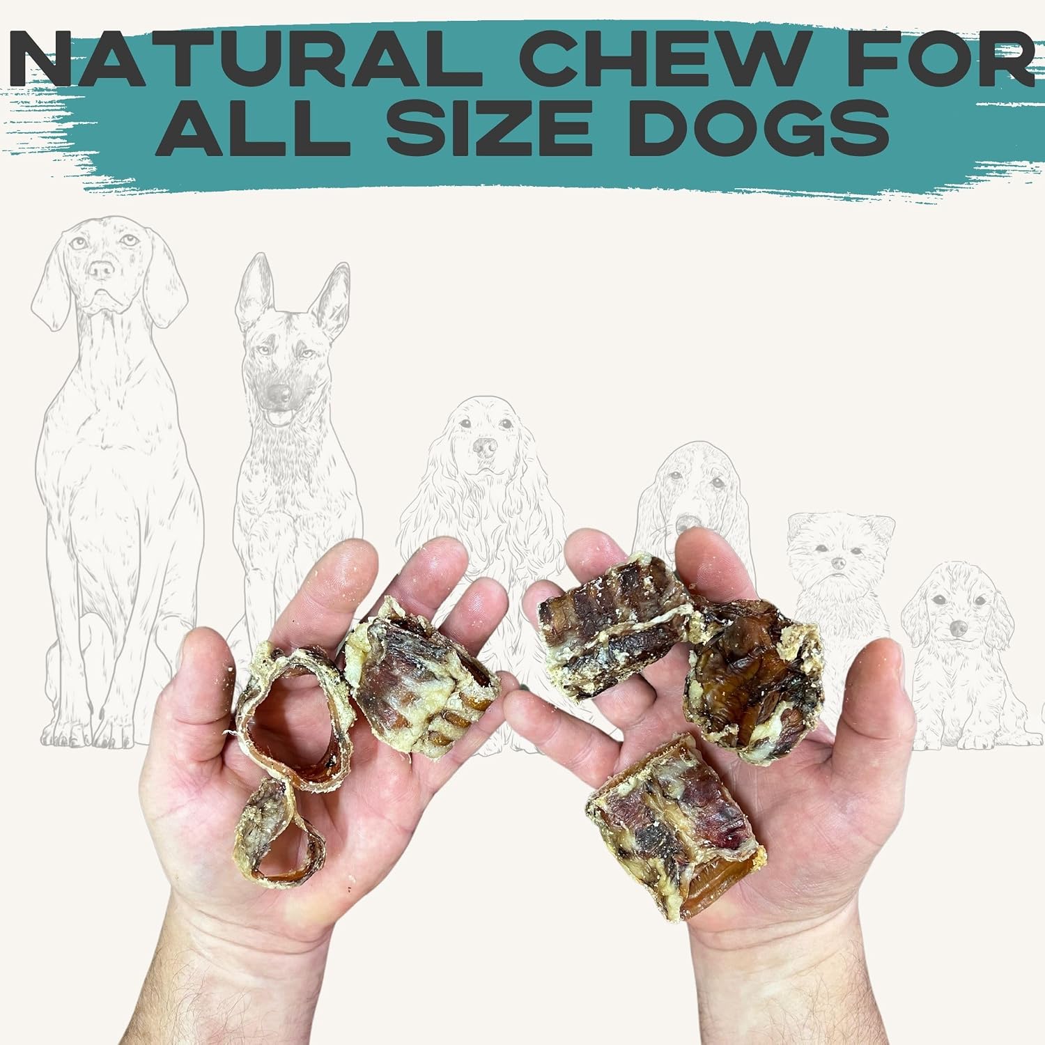 JACK'S PREMIUM Beef Trachea (Moo Tube) Thick Beef Dog Chews All Natural Made in USA Single Ingredient Rawhide Alternative (1 Lb (1/2-2" Pieces))