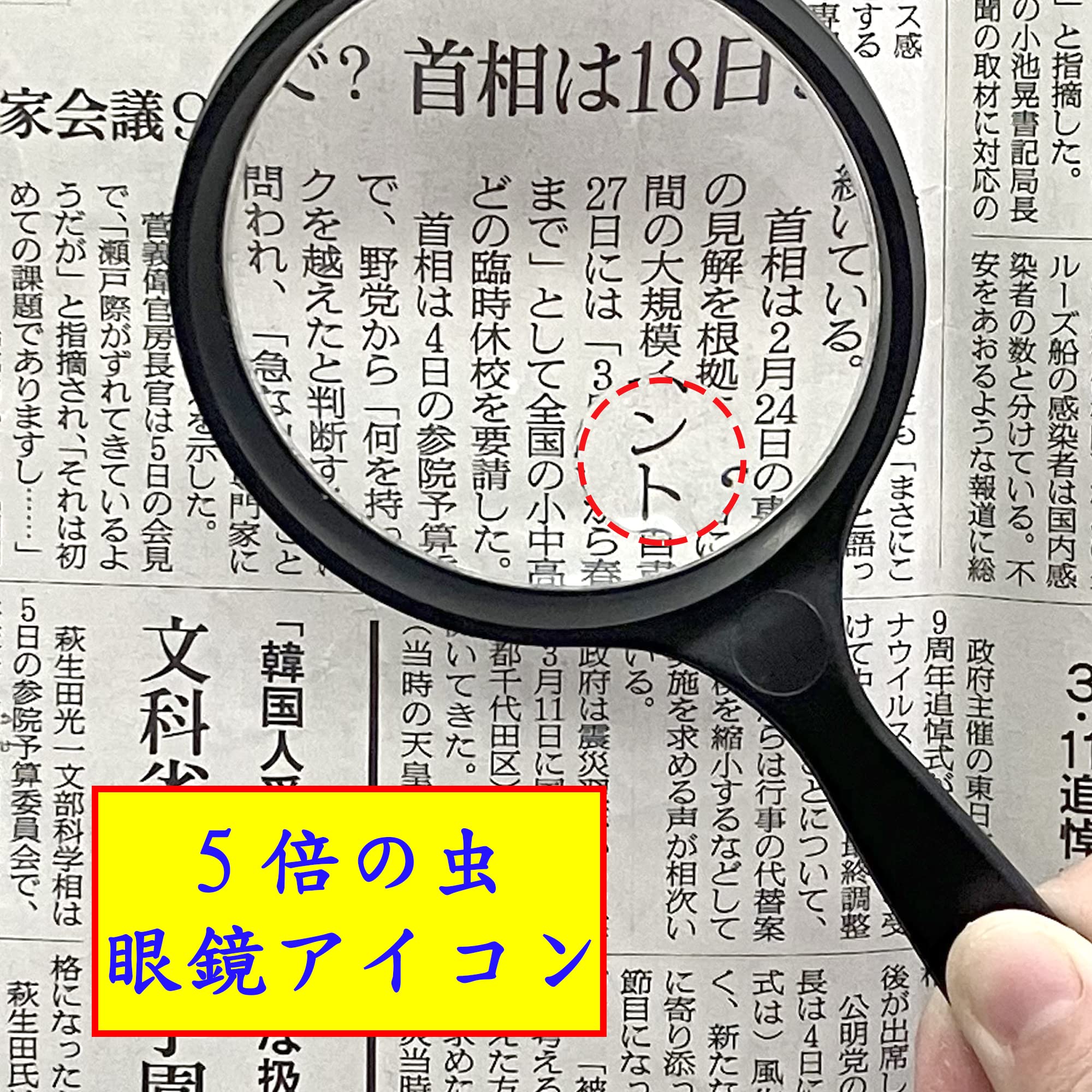 10倍倍率ハンドヘルド拡大鏡 - 読書、コイン、昆虫、子供や老人用の拡大鏡、取り外し可能なアンティークマホガニーハンドル付き Aus  Amazon.co.jp: MAGDEPO 高倍率 手持ちルーペ 読書用拡大鏡ハンドヘルド 直径100mmアクリルレンズ3倍と5倍の二焦点拡大鏡  ボーナス カード ...