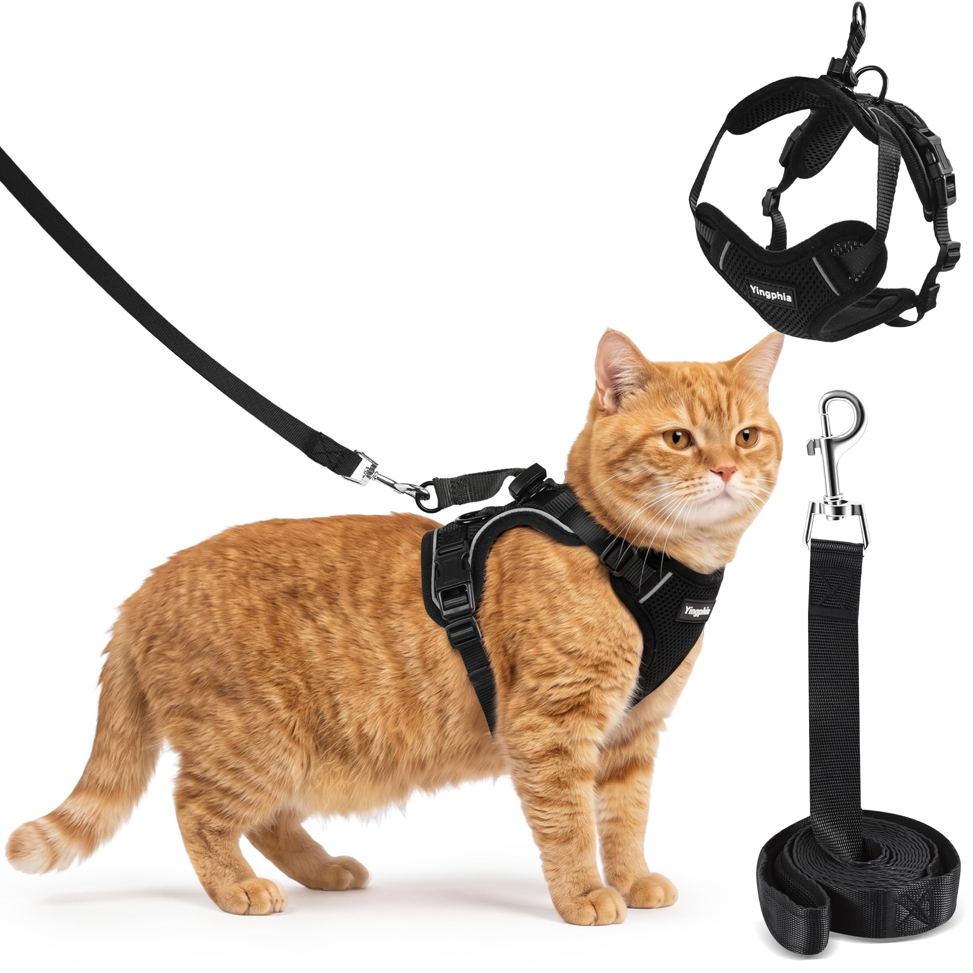 Katzengeschirr mit Leine Set [4-in-1] – Ausbruchsicher & verstellbar – Leichtes Katzenharnisch mit verstellbaren Ausbruchsicher‑Schnallen – Für kleine, mittelgroße & große Katzen(XS)