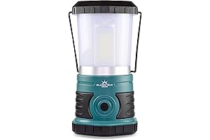 Blazin' Bison: Illuminate Your World with Blazin' Sun 800 LED Lanterns