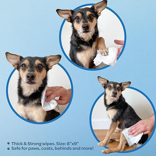 Vista 44 de Best Pet Supplies - Toallitas de aseo para mascotas, para perros y gatos, a base de plantas, para pelo, piel seca o sensible, orejas, patas y cola