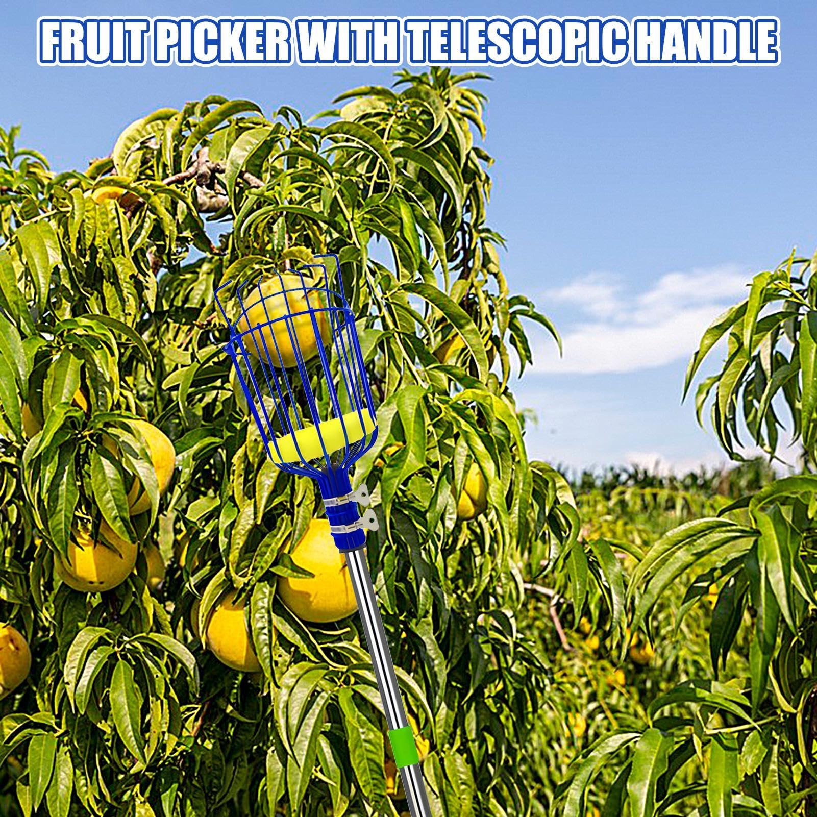 Tige de récolteur de fruits avec panier télescopique, tige de récolte de